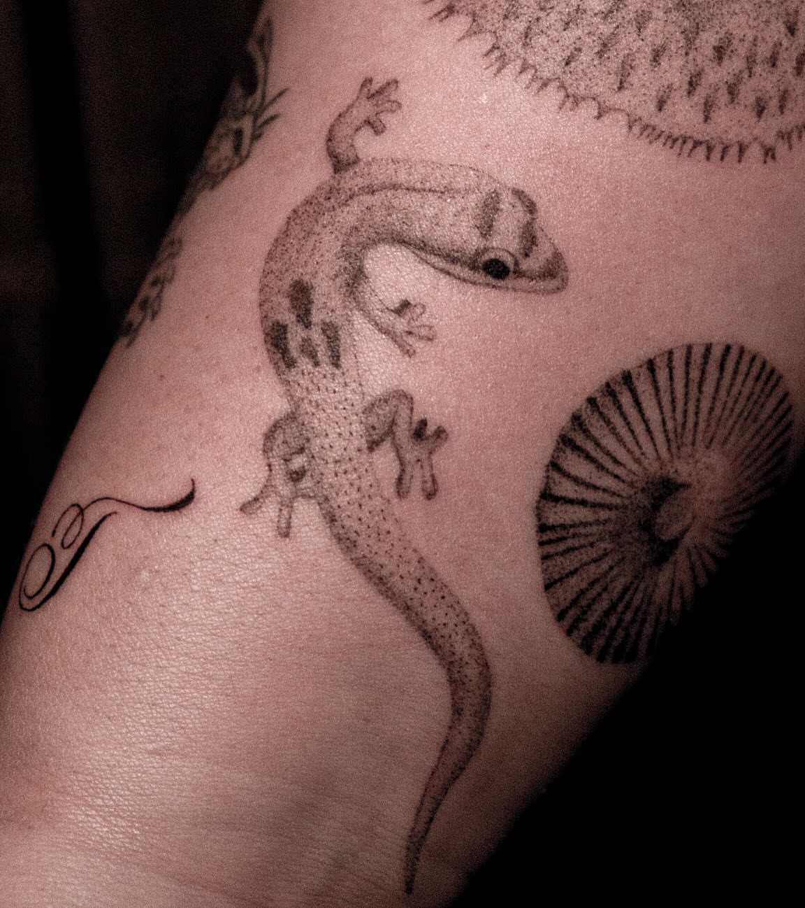 Gecko dotwork tattoo on the forearm by ๐๐, Tacoma, Washington
