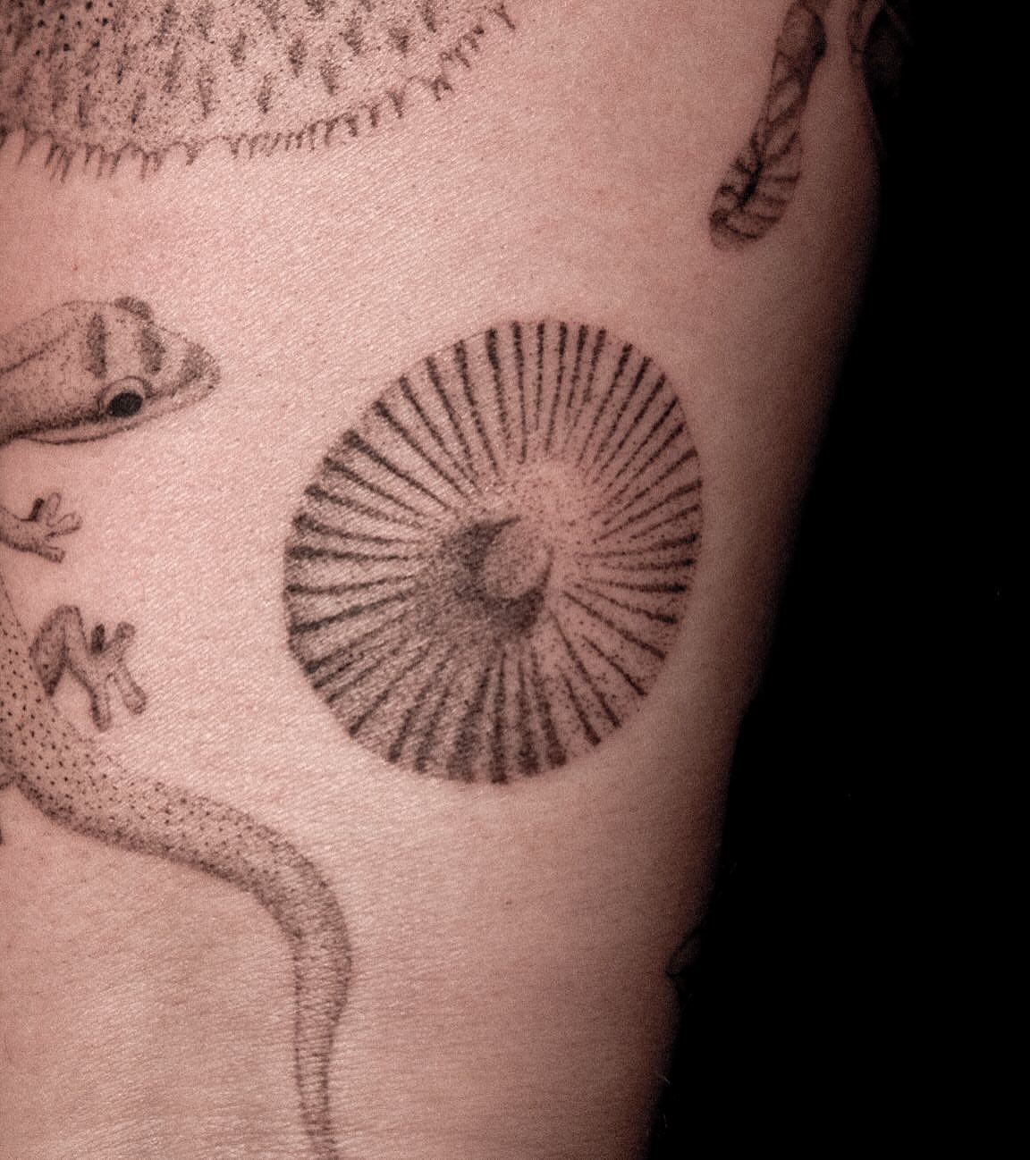 Gecko and sunburst black and grey tattoo on the forearm by ๐๐, Tacoma, Washington
