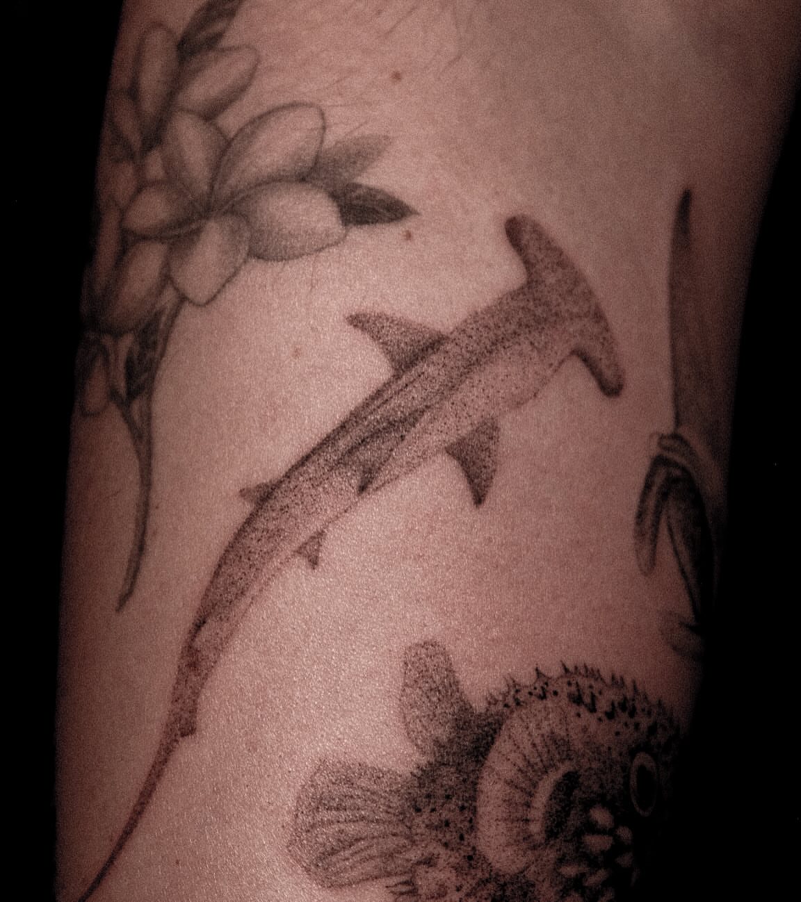 Shark and flowers dotwork tattoo on the forearm by ๐๐, Tacoma, Washington