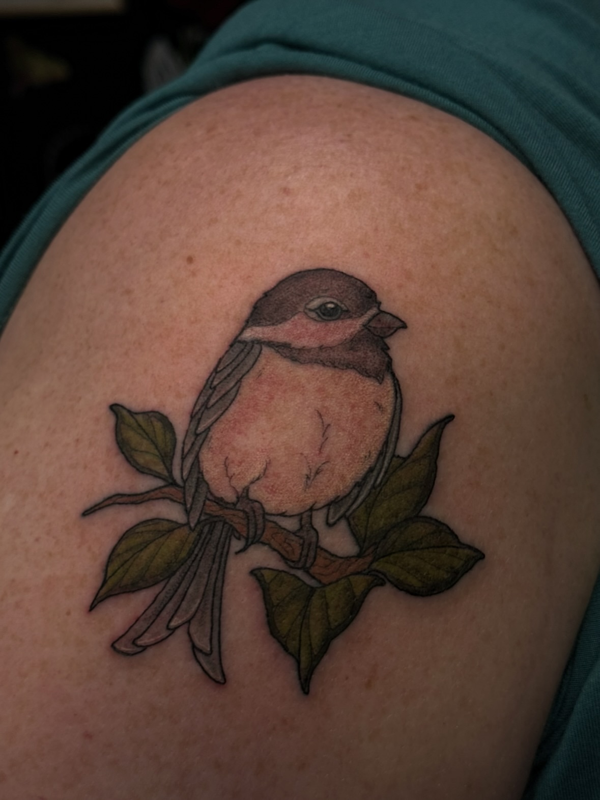 Bird realism tattoo on the shoulder by jess jené jones, Portland, Oregon