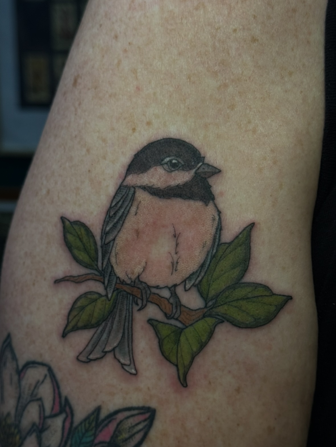 Chickadee realism tattoo on the forearm by jess jené jones, Portland, Oregon