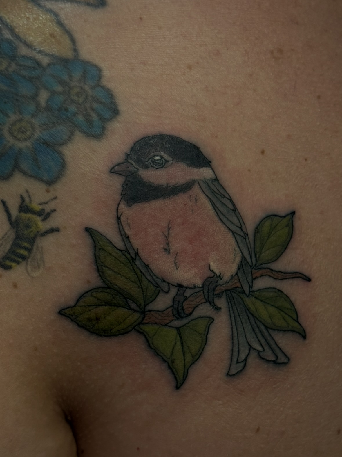 Bird realism tattoo on the chest by jess jené jones, Portland, Oregon