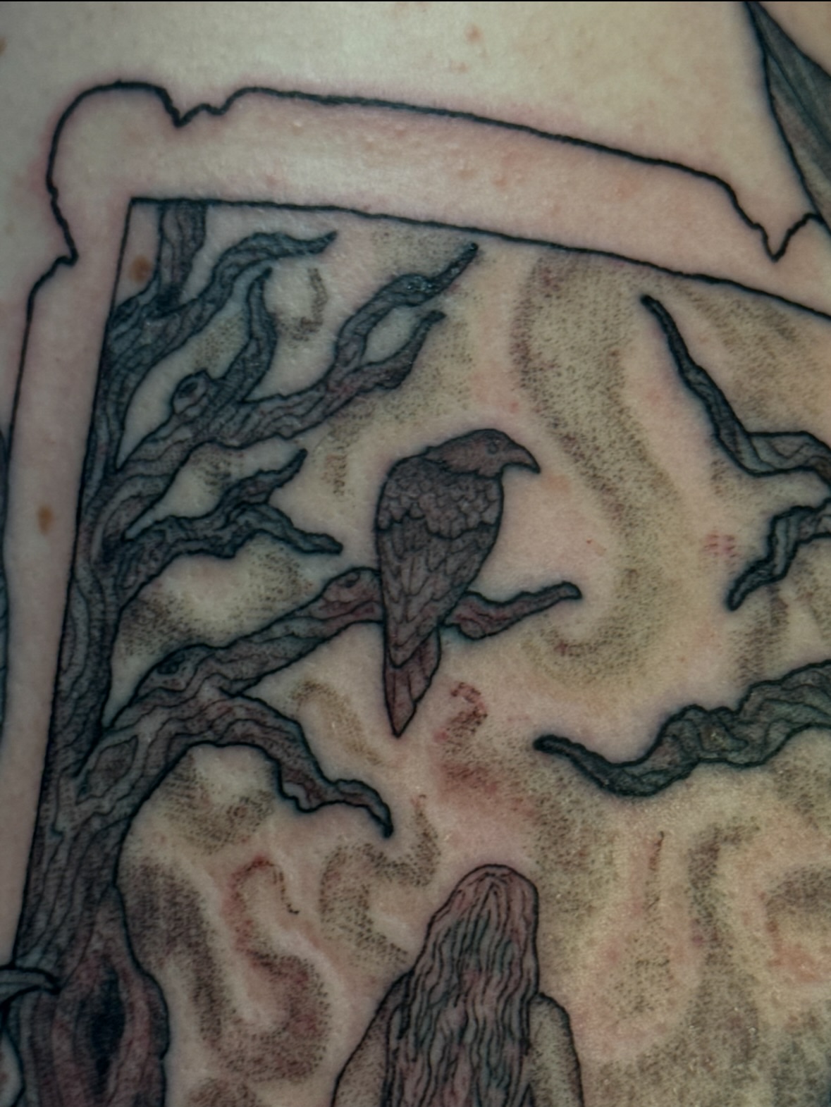 Raven black and grey tattoo by jess jené jones, Portland, Oregon