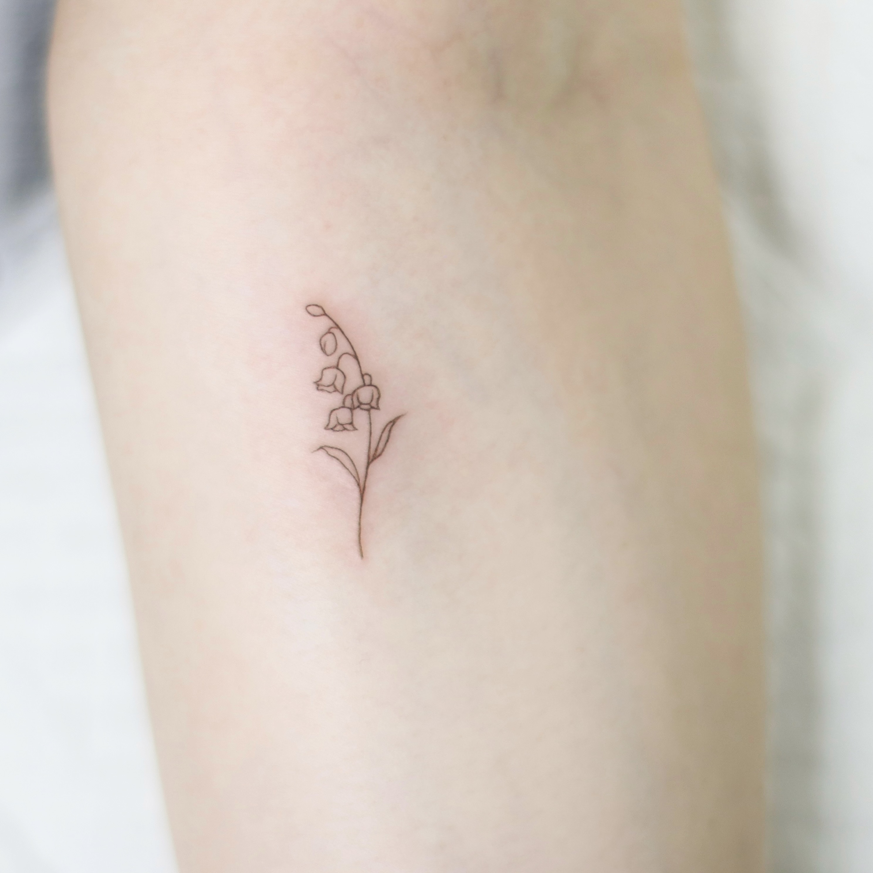 Tattoo by @wittybutton_tattoo — fine_line