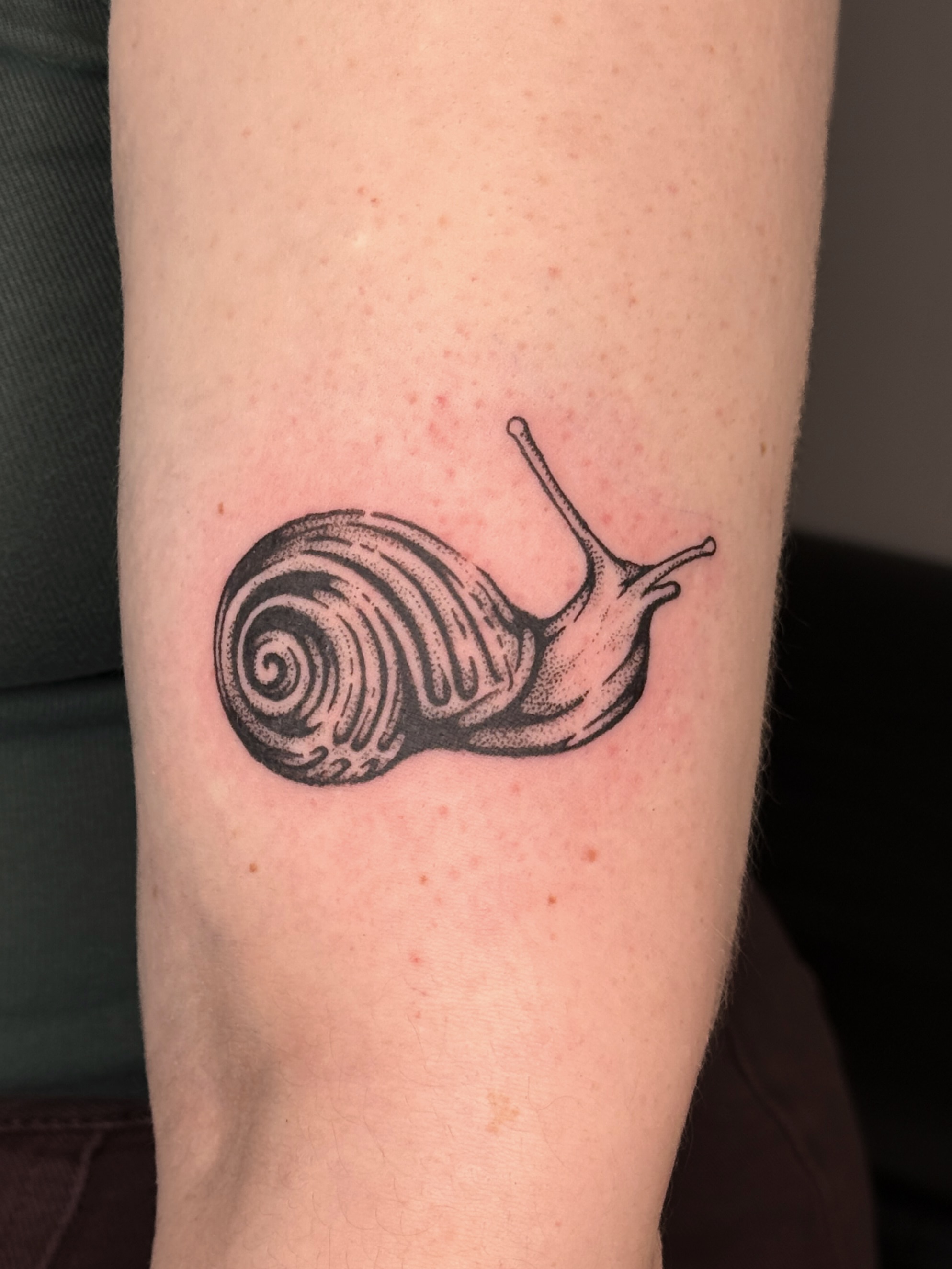 Snail dotwork tattoo on the forearm by Bella - Austin Tattoo Artist ₓ˚. ୭
