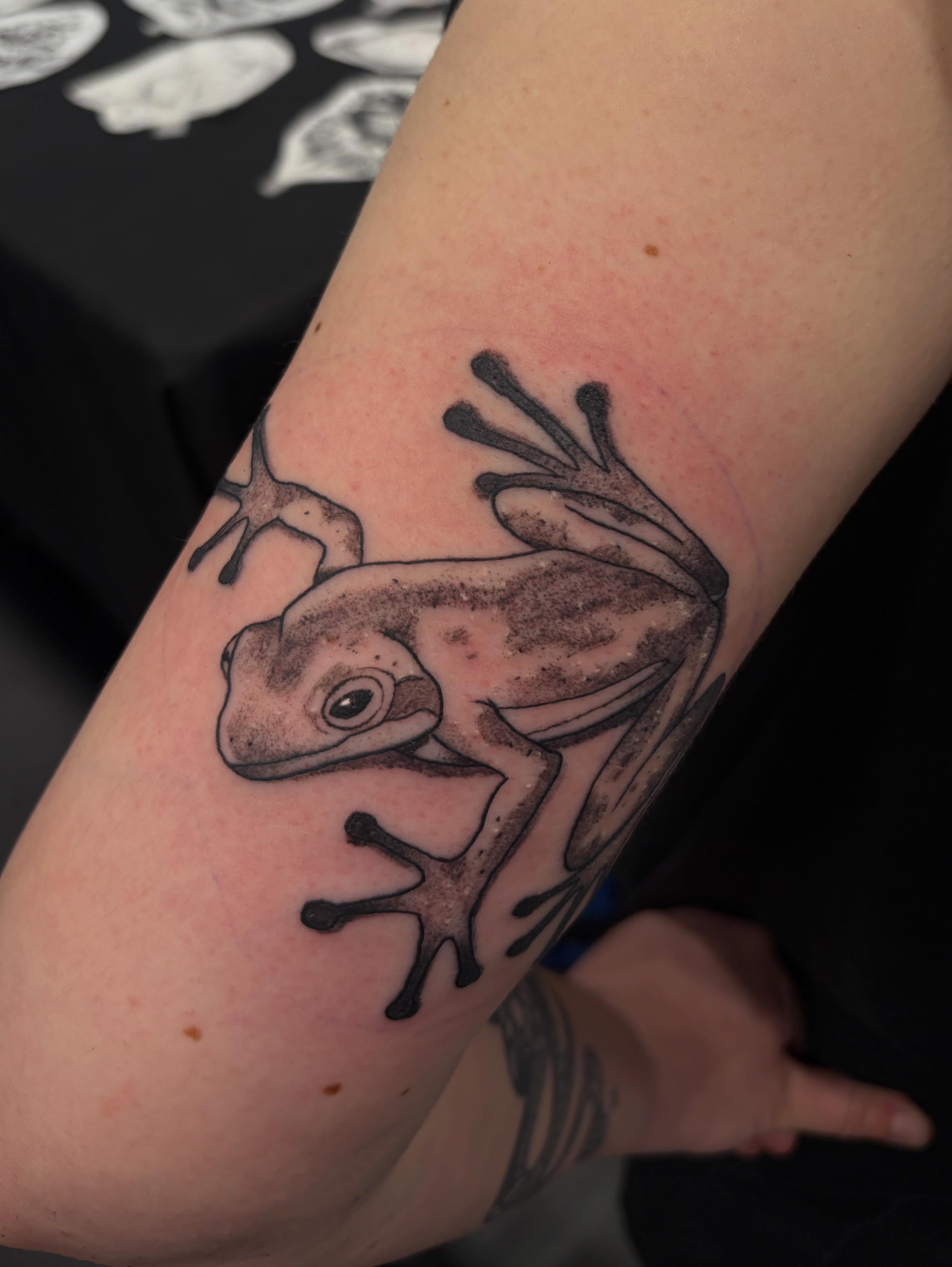Frog black and grey tattoo on the forearm by Zeninkz