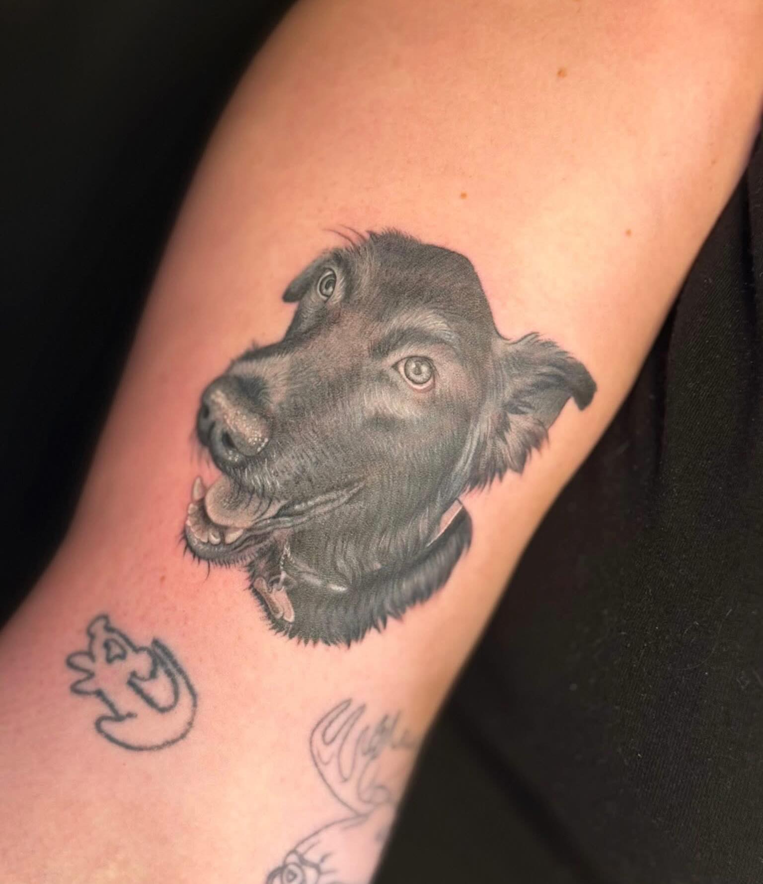 Dog head realism tattoo on the forearm by Olivia, Royal Oak, Michigan