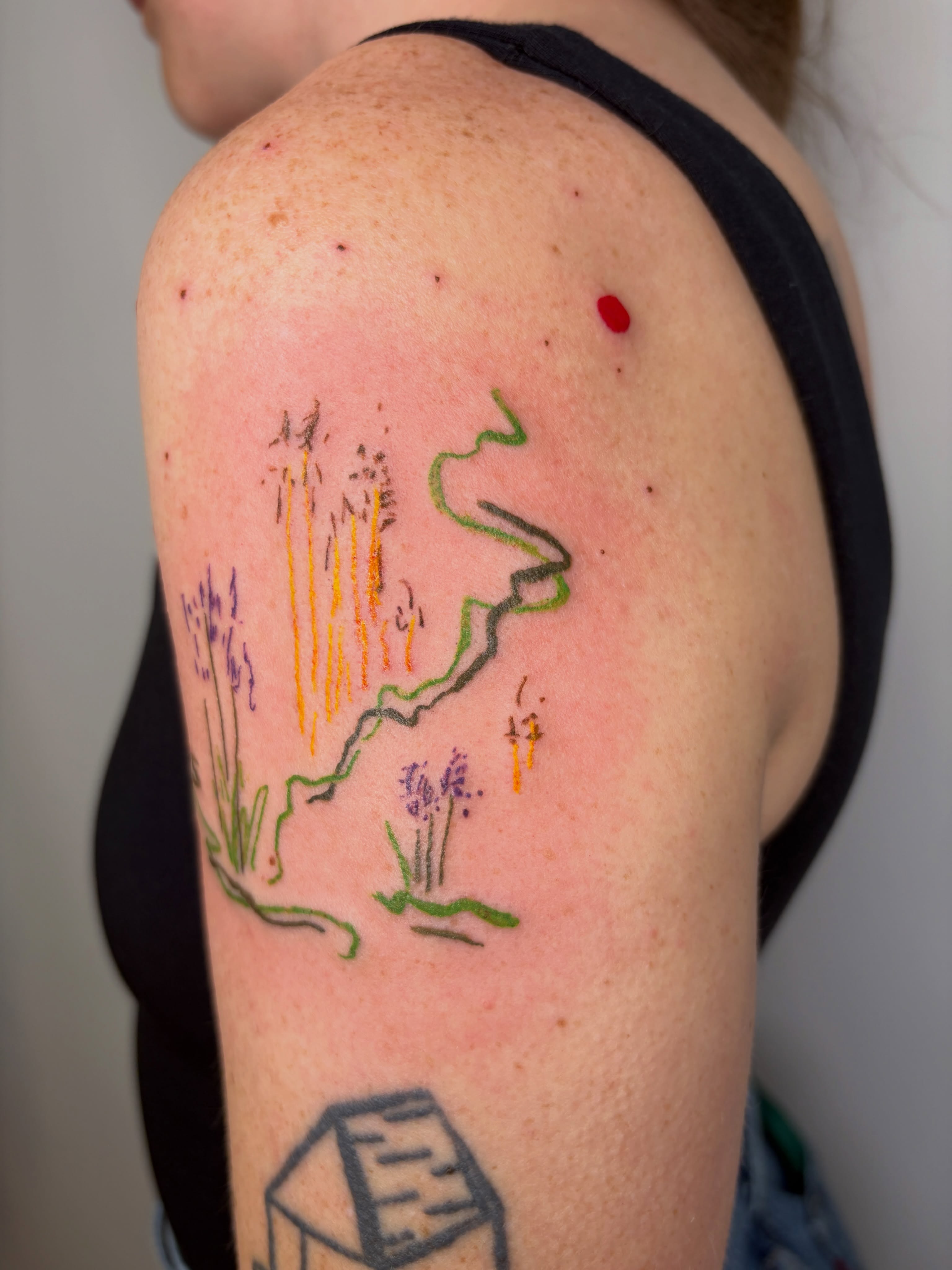 Tattoo by @sketchesonskin — dotwork
