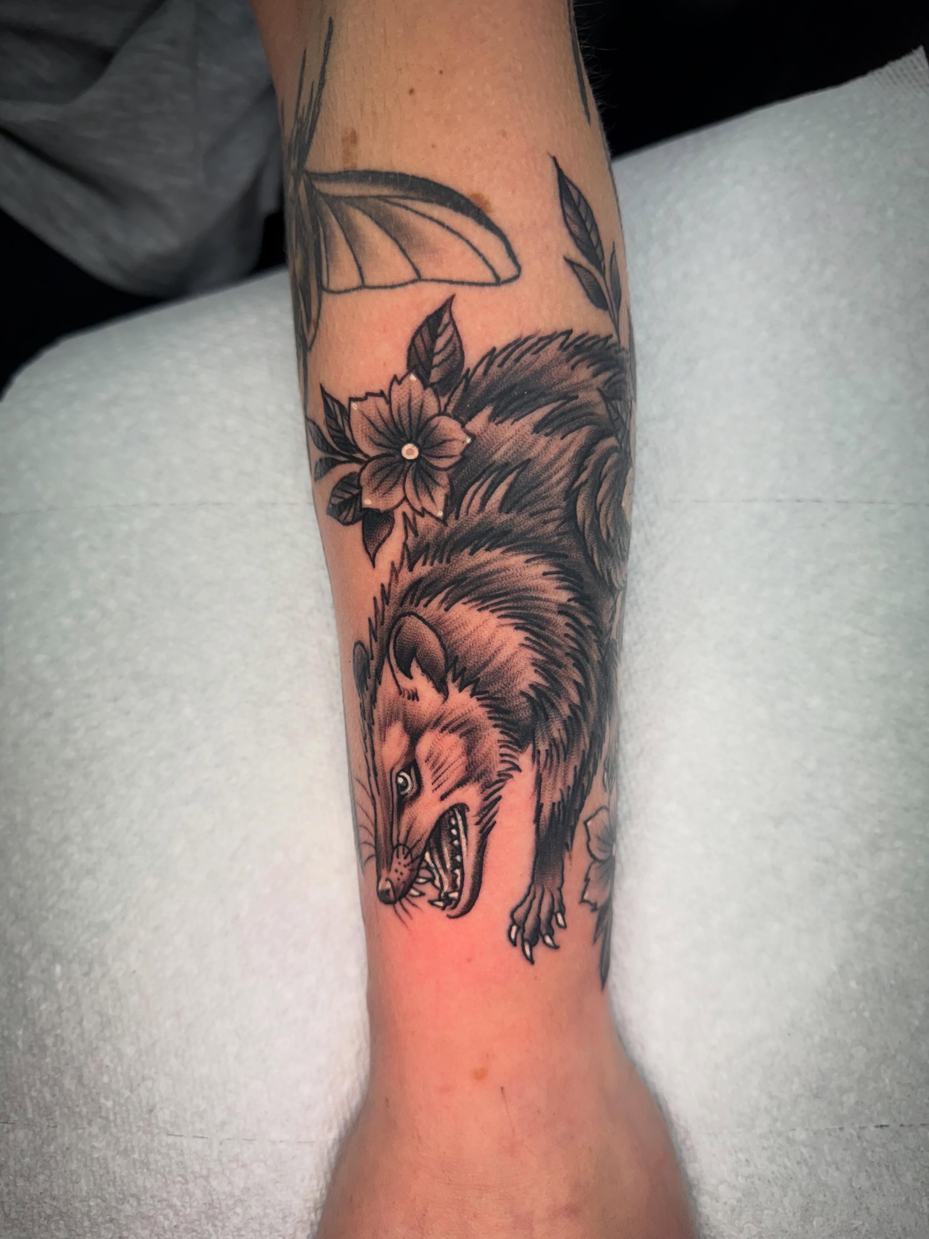 Feral cat realism tattoo on the forearm by Jake Horstman, Dayton, Ohio
