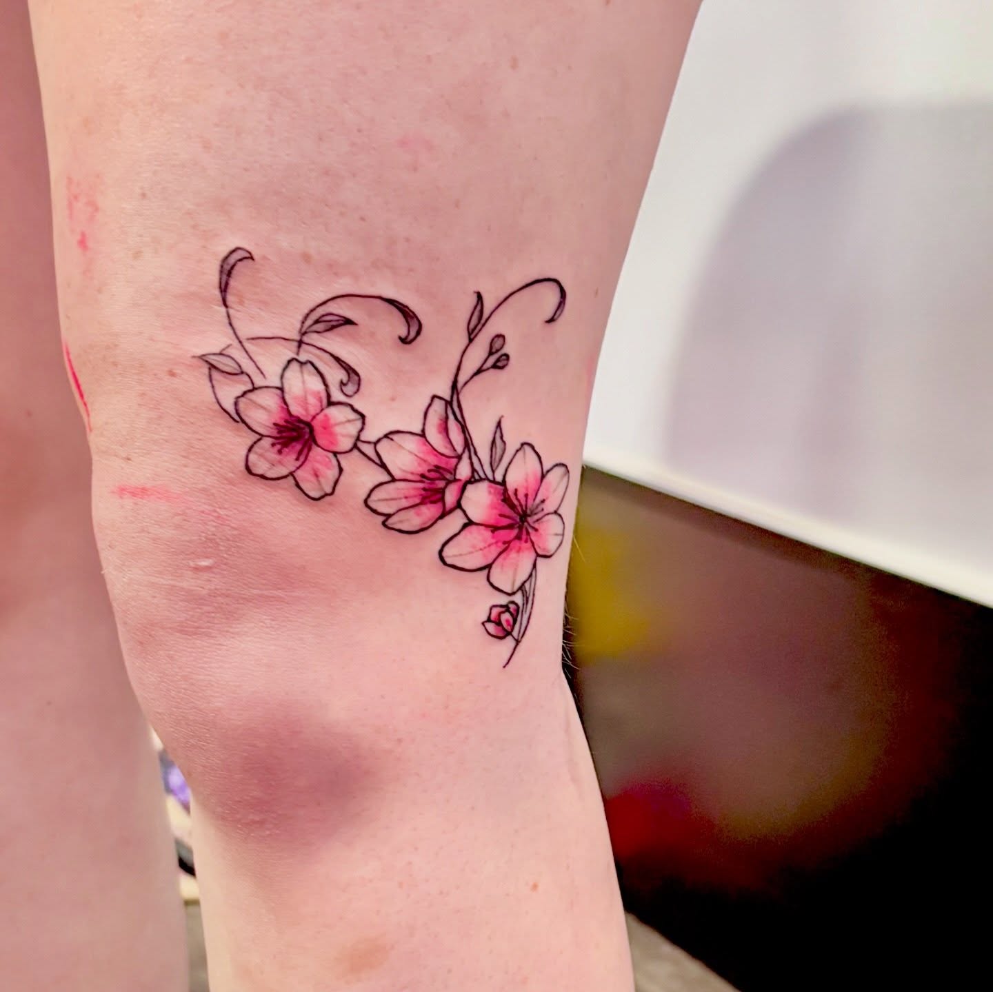 Cherry blossoms new school tattoo on the forearm by Tessahwessah 🧞‍♀️