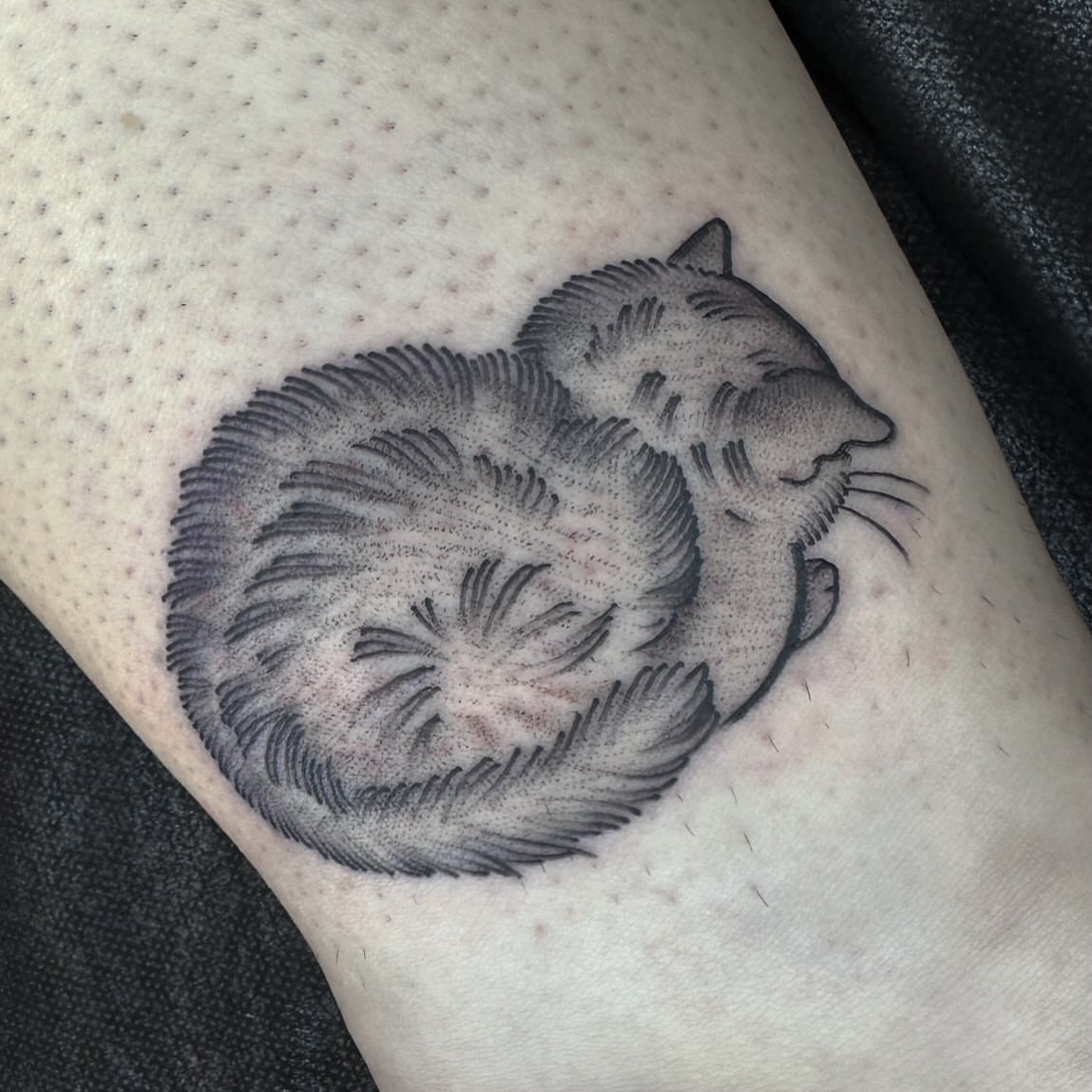 Cat black and grey tattoo on the thigh by Amelia Rose, Los Angeles, California