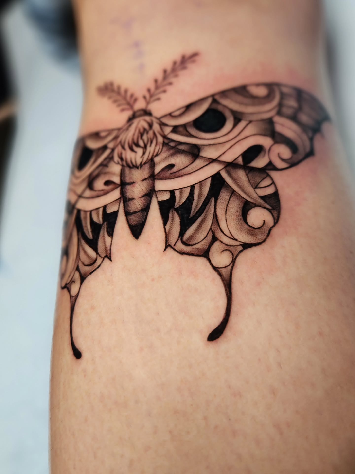 Moth black and grey tattoo on the forearm by Abby Renteria