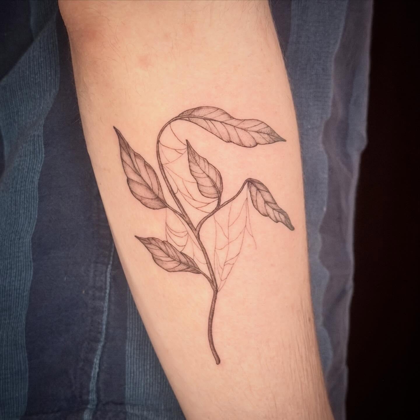 Tattoo by @roses.in.gloom — fine_line