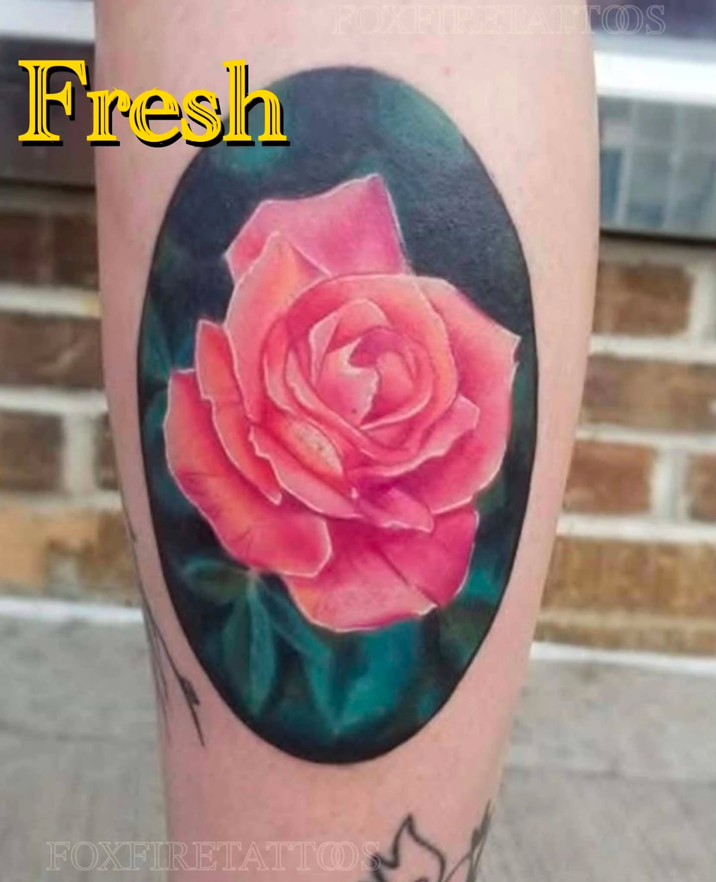 Rose realism tattoo on the forearm by Lindsey Chevalier - KCMO TATTOO ARTIST