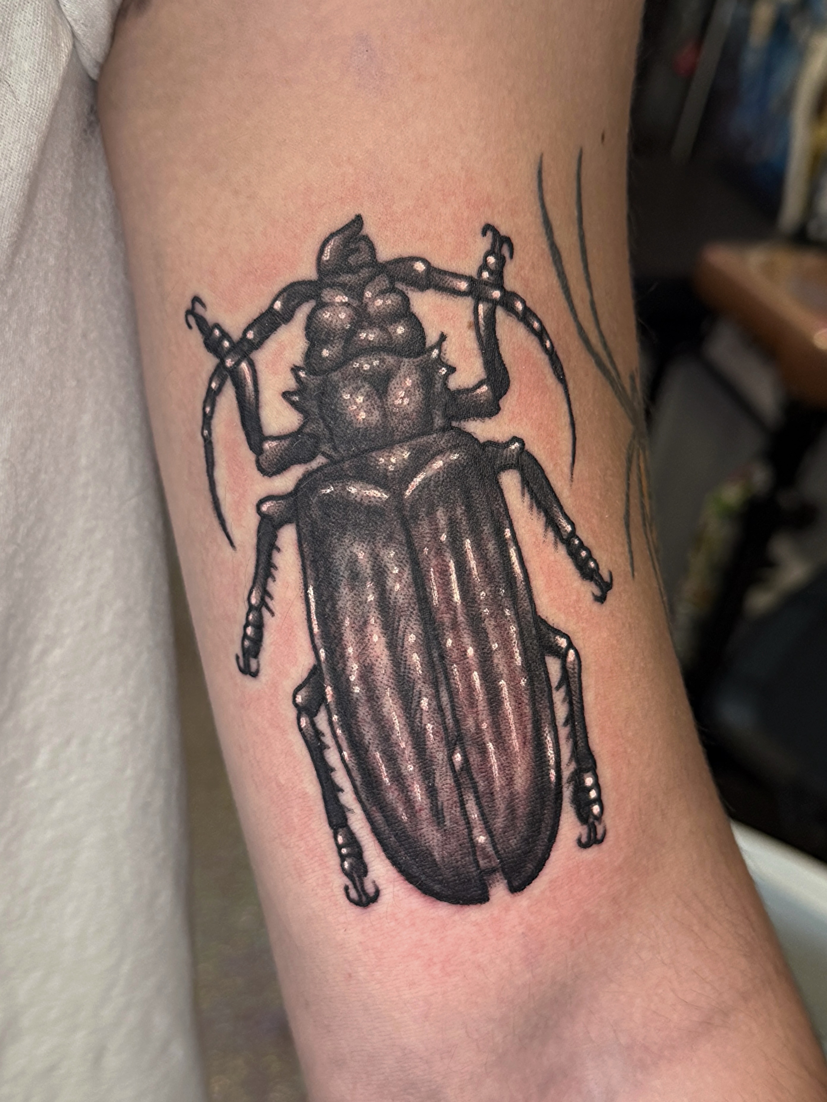 Tattoo by @tattoosbybrooks — realism