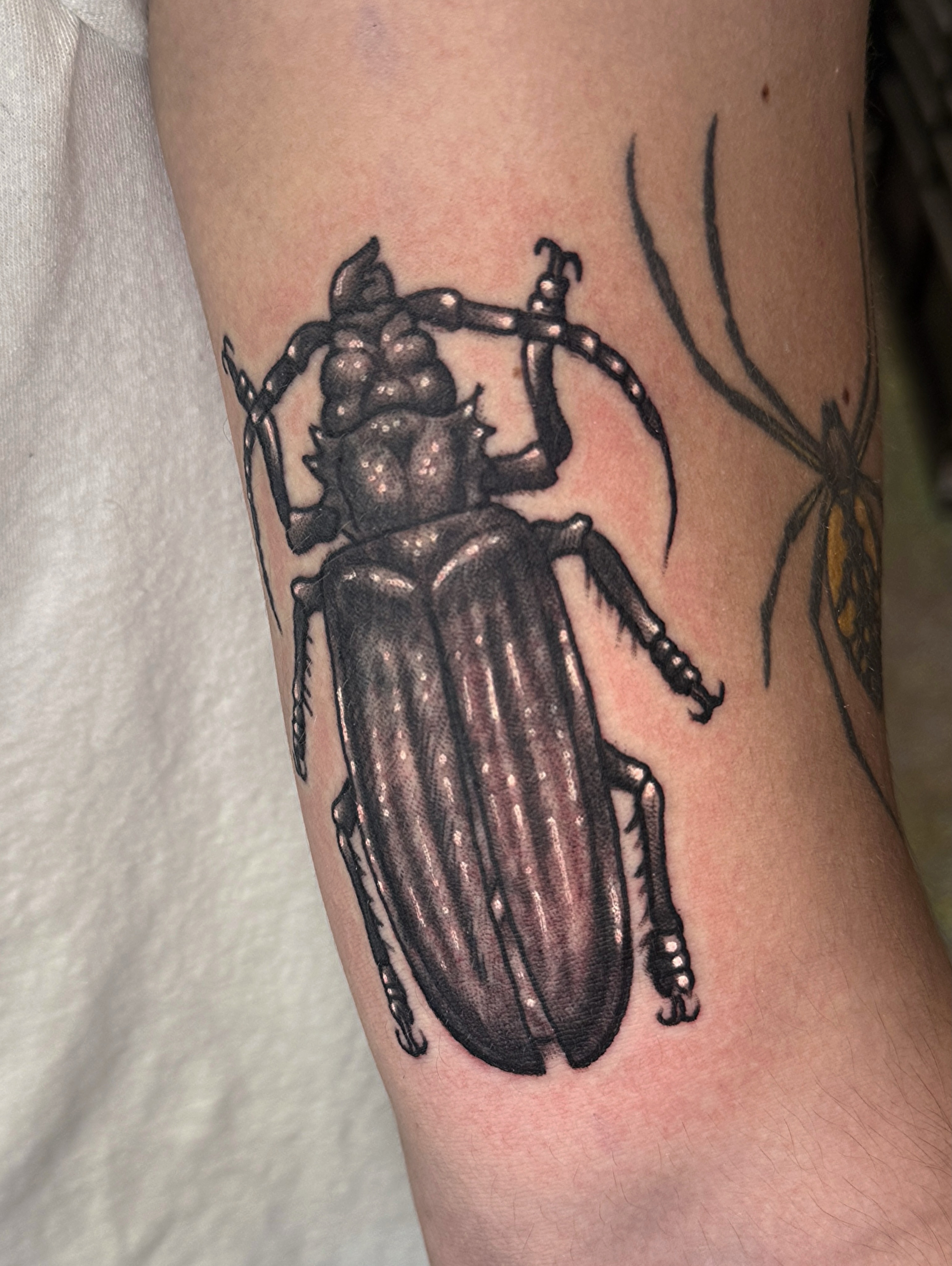 Tattoo by @tattoosbybrooks — realism