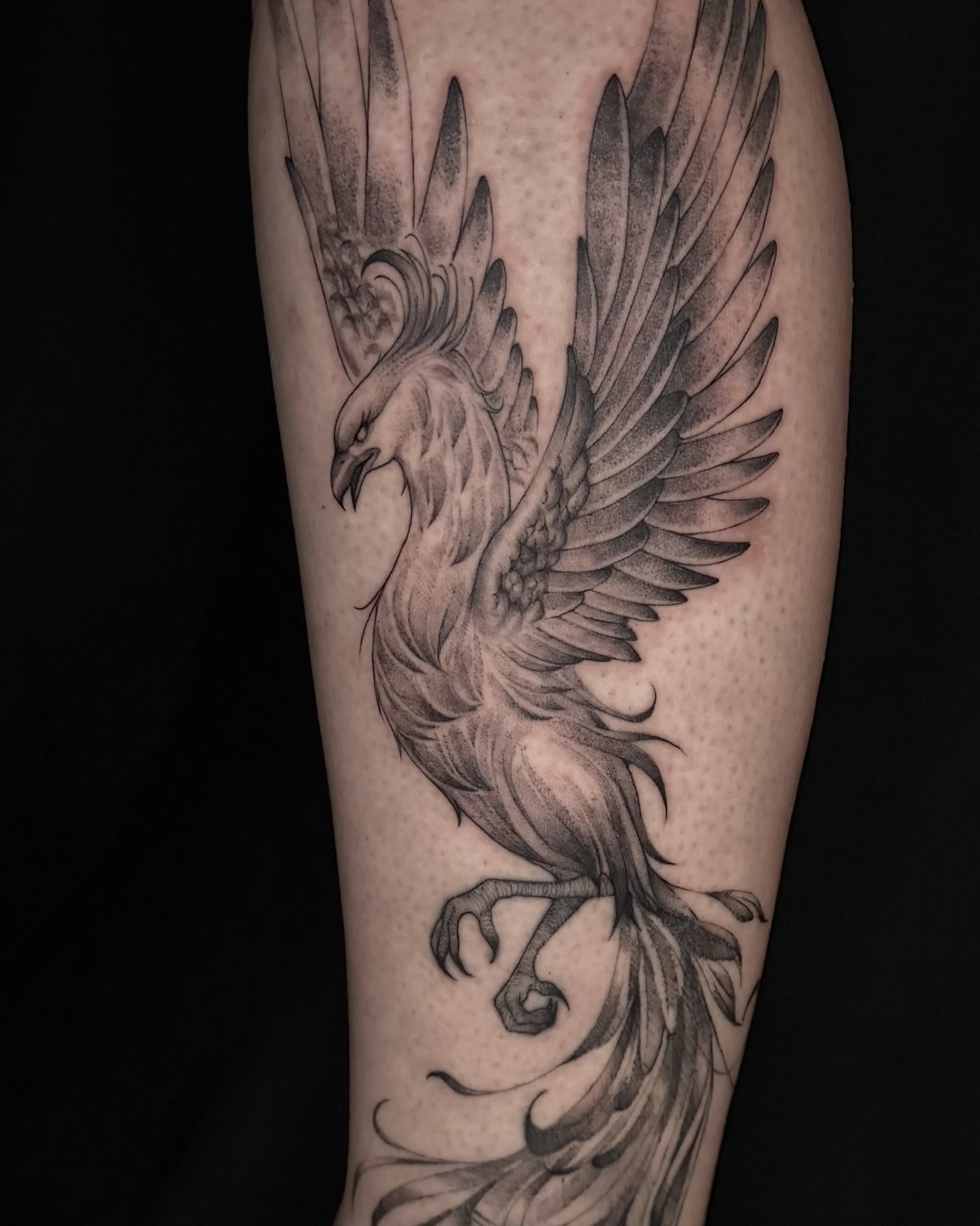 Phoenix black and grey tattoo on the forearm by ⋆。˚⭒♡ 𝕰𝖑𝖊𝖓𝖆 𝕽𝖎𝖛𝖊𝖗𝖆 ♡⭒˚。⋆
