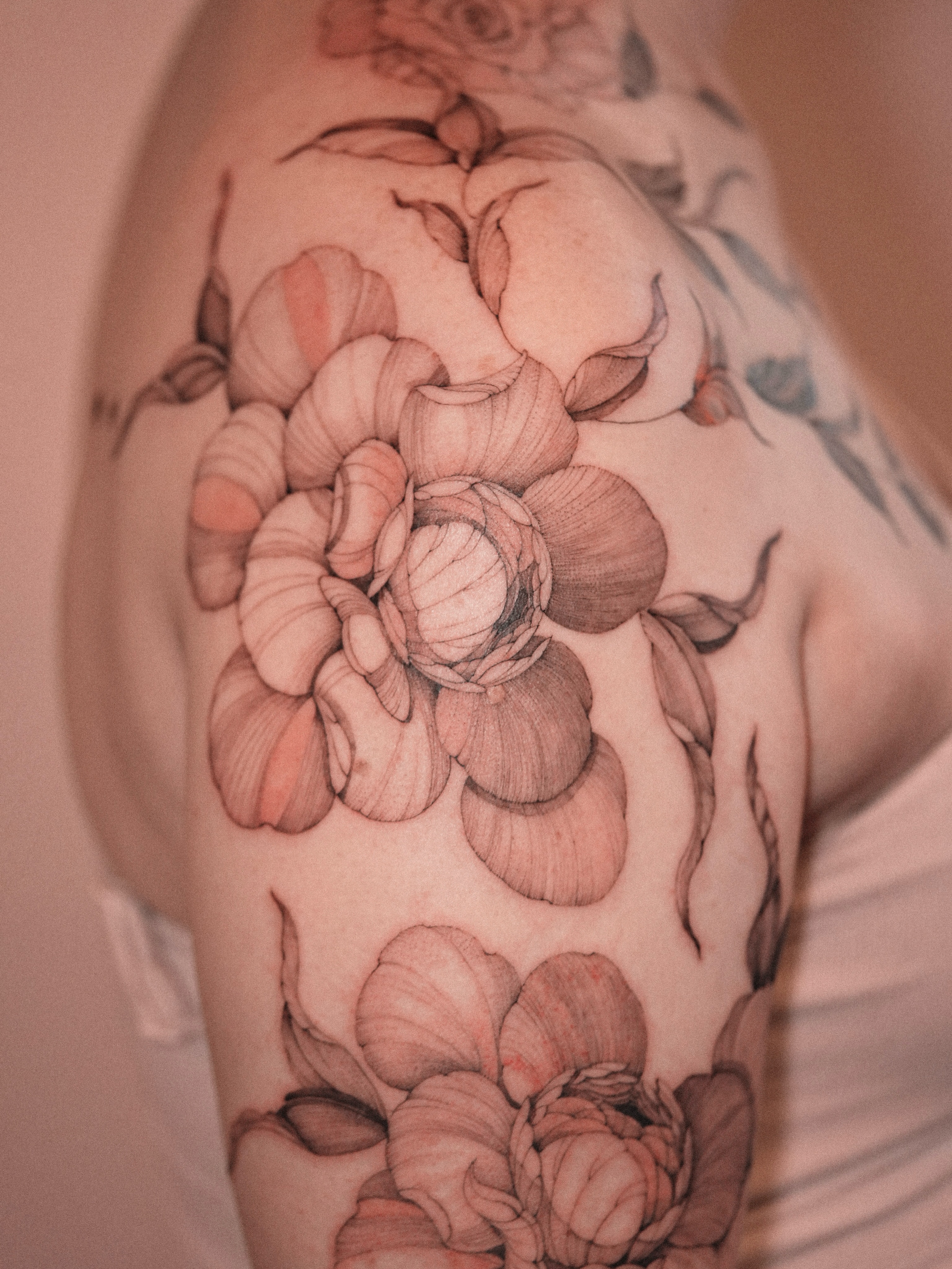 Peony flowers realism tattoo on the shoulder by Zalina Loriia