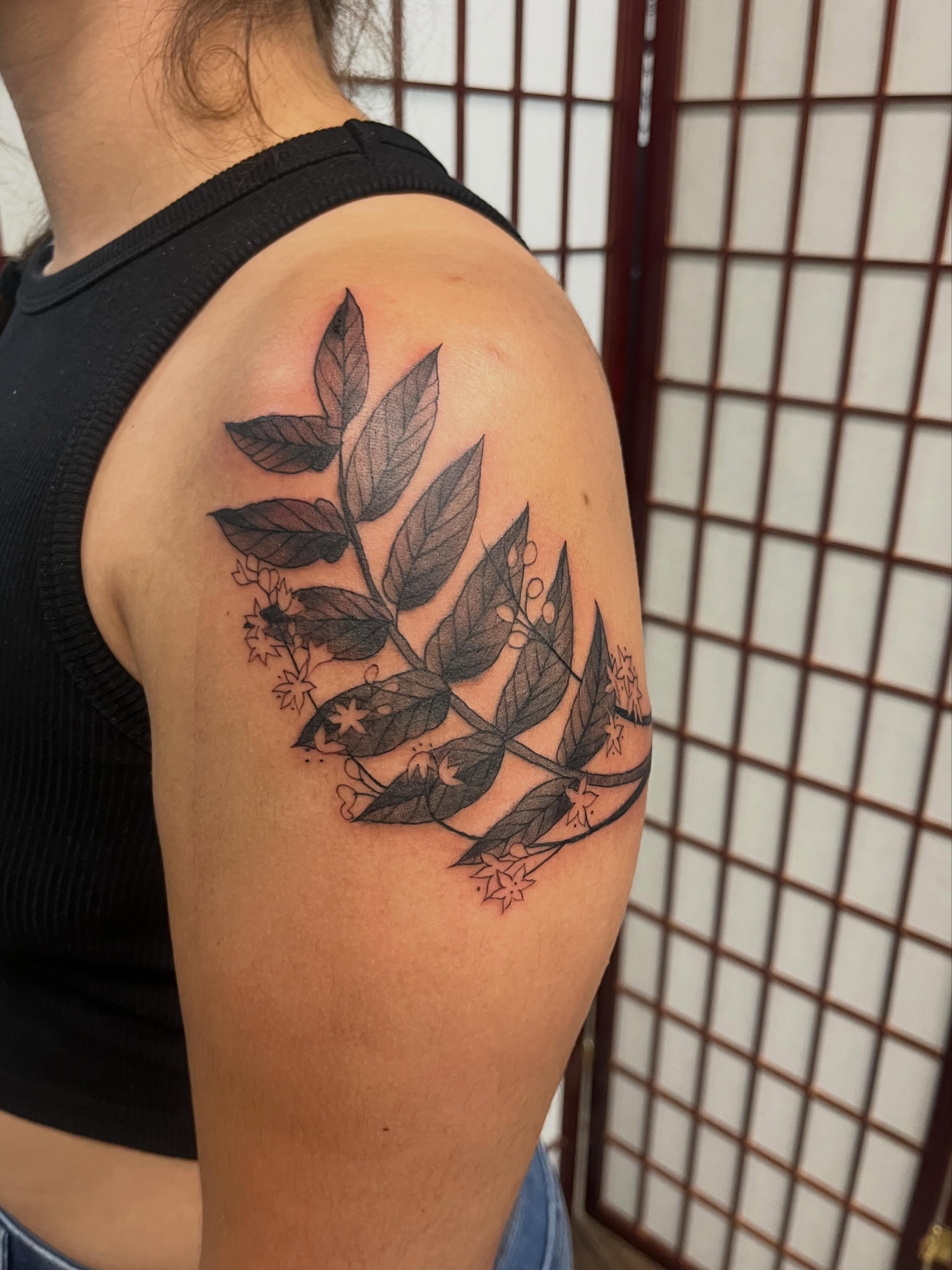 Plant branch black and grey tattoo on the shoulder by Brianna Jo Ballinghoff