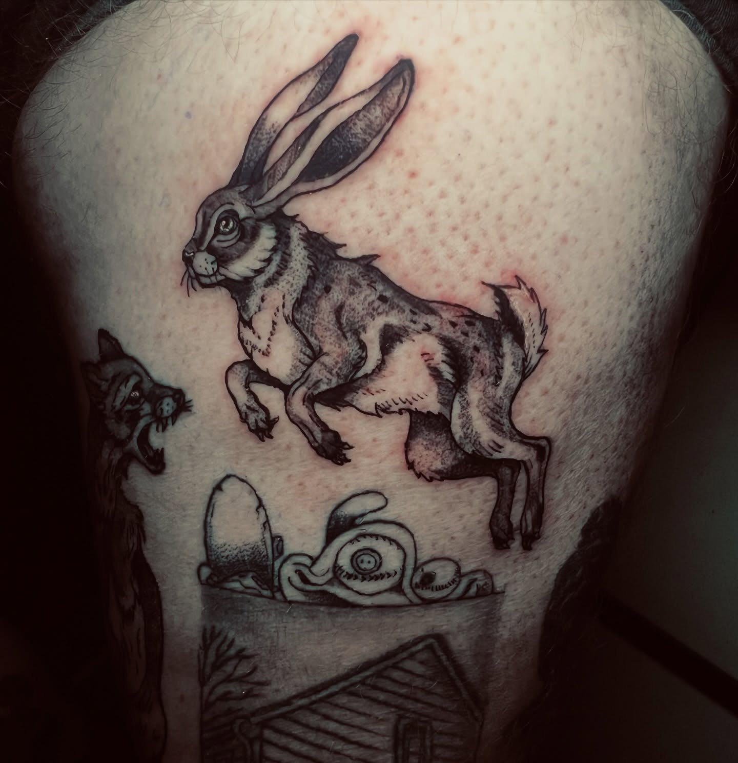 Hare chasing cat realism tattoo on the back by Evan Intveld