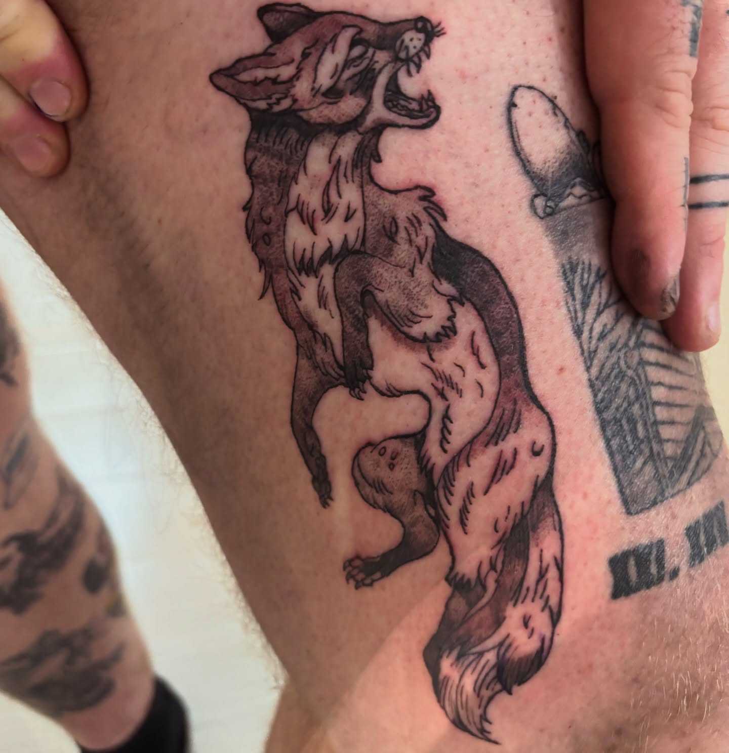 Wolf black and grey tattoo on the thigh by Evan Intveld