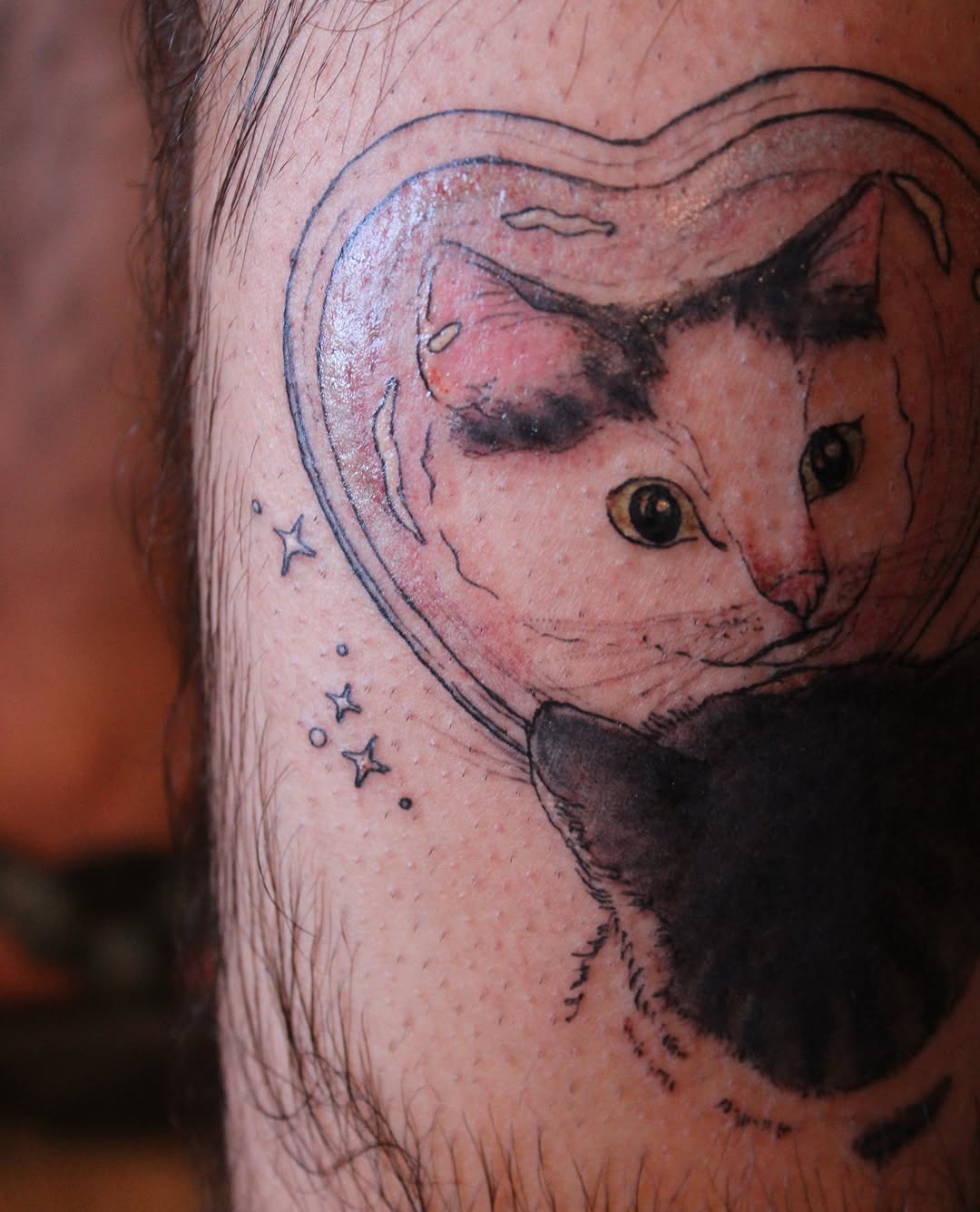 Cat realism tattoo on the forearm by Zo ☆ Moon Snail
