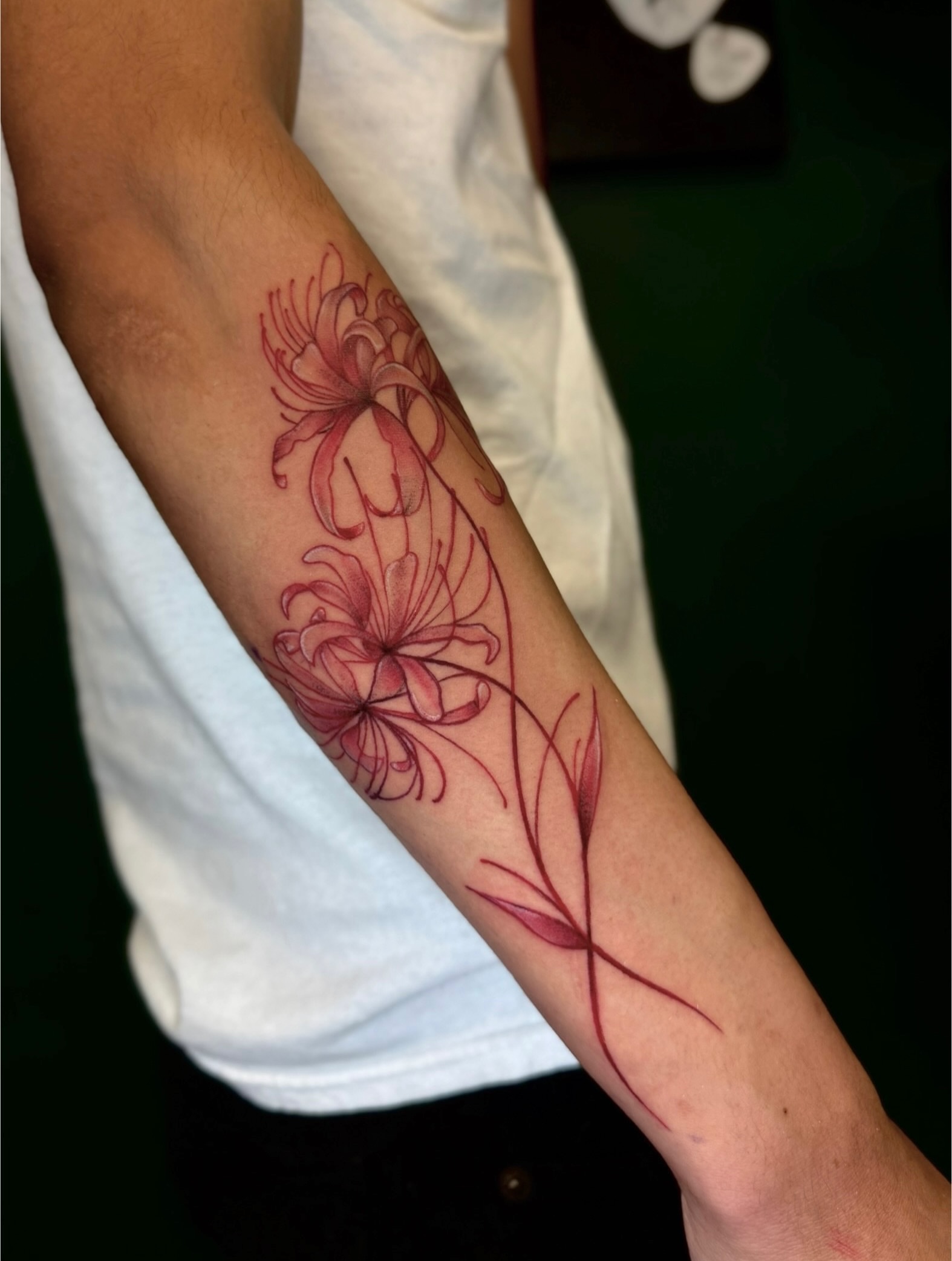 Chrysanthemums fine line tattoo on the forearm by Kyleigh Shurak