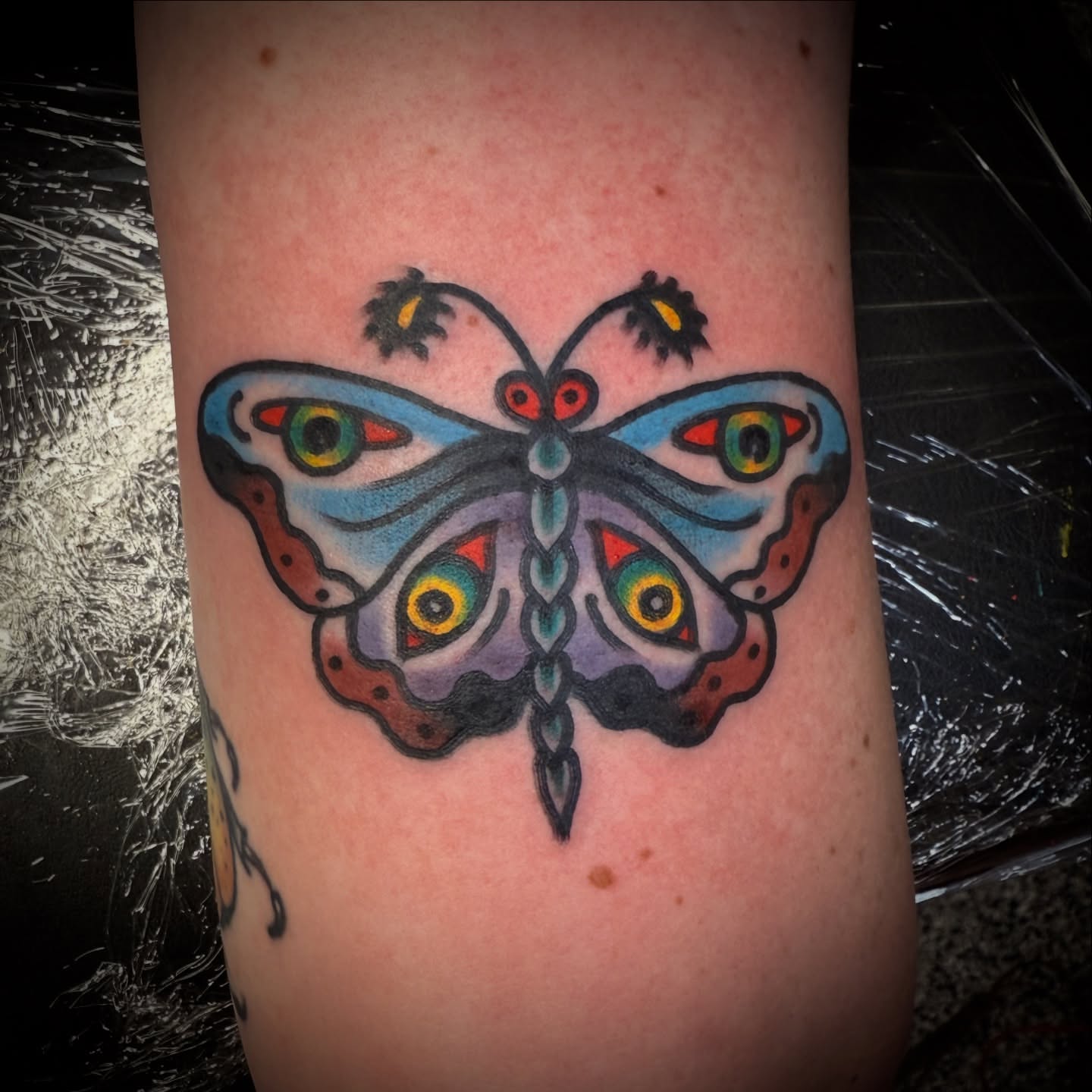 Butterfly American traditional tattoo on the forearm by Chuck Paprocki, Nashville, Tennessee