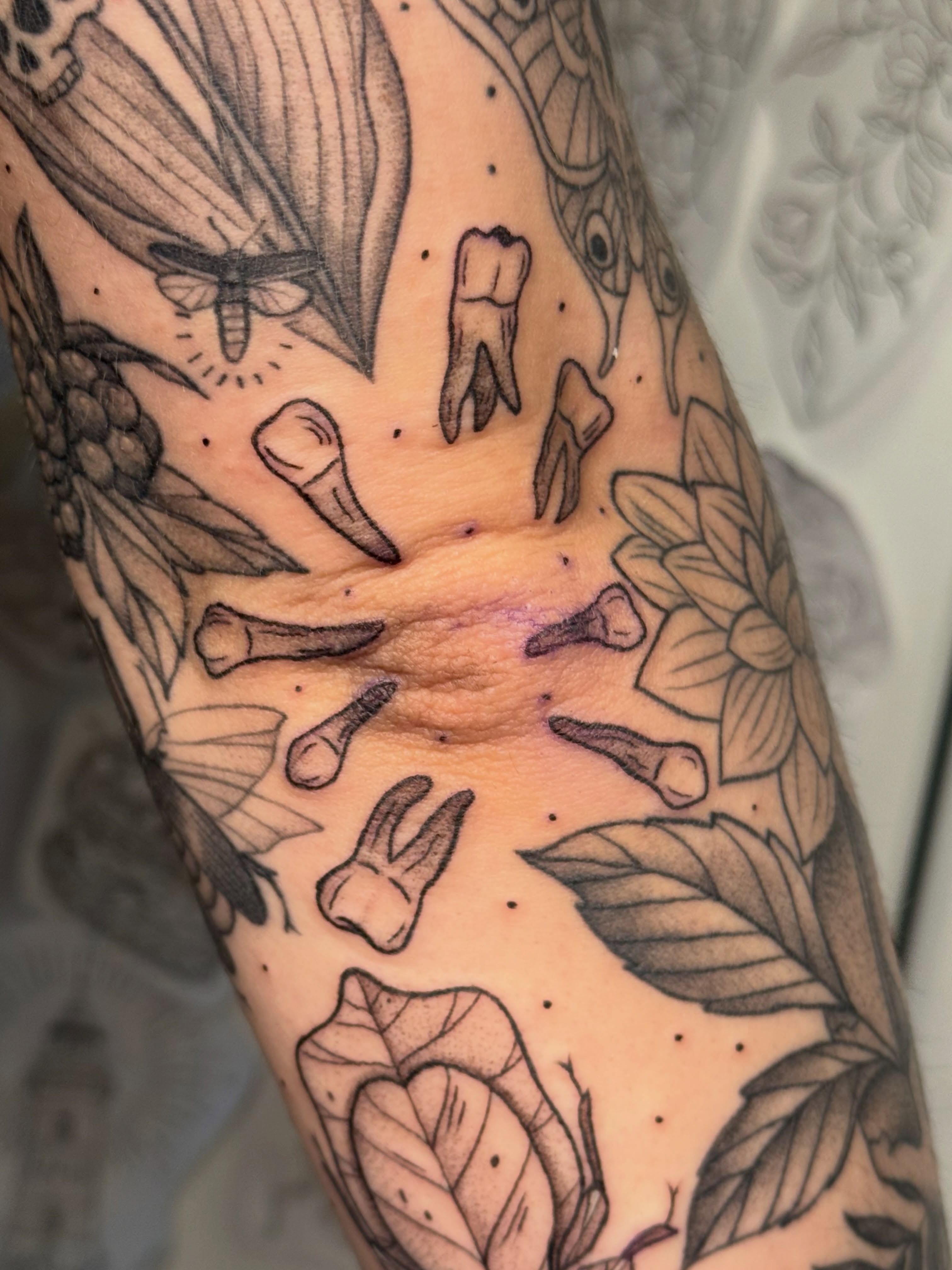 Tooth and leaves American traditional tattoo on the forearm by Alexx Colombo