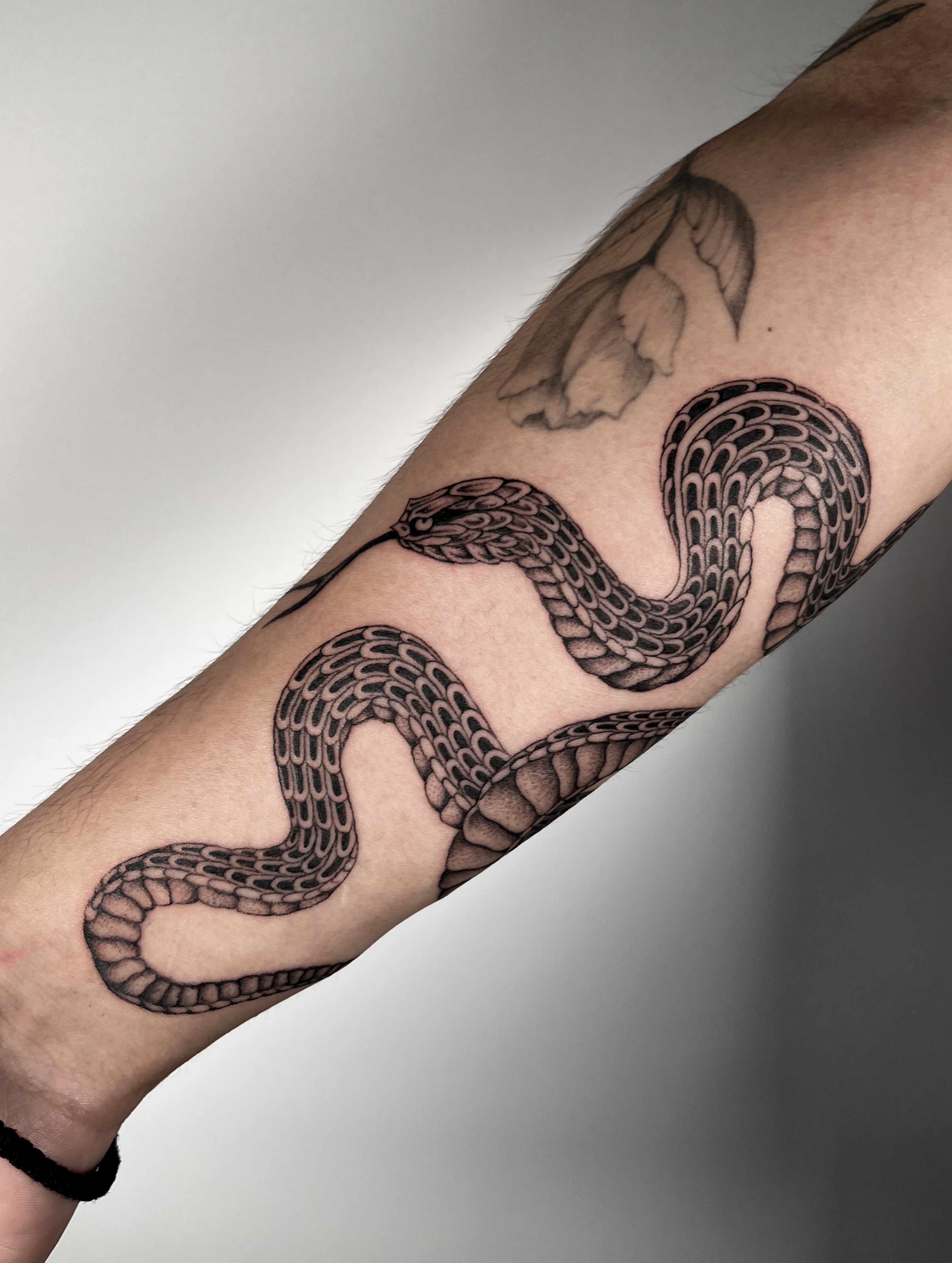 Snake black and grey tattoo on the forearm by The One Who’s Always Drawing