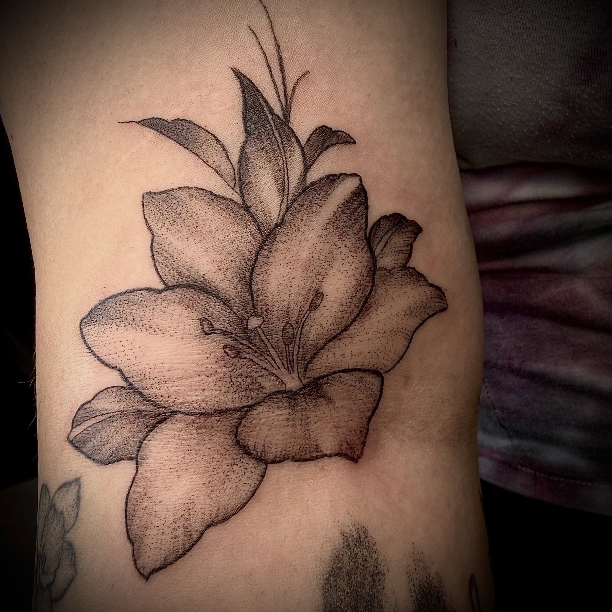 Lily dotwork tattoo on the forearm by Jennifer Contreras