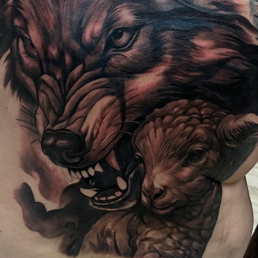 Wolf and lamb realism tattoo on the torso by Quinten Harper