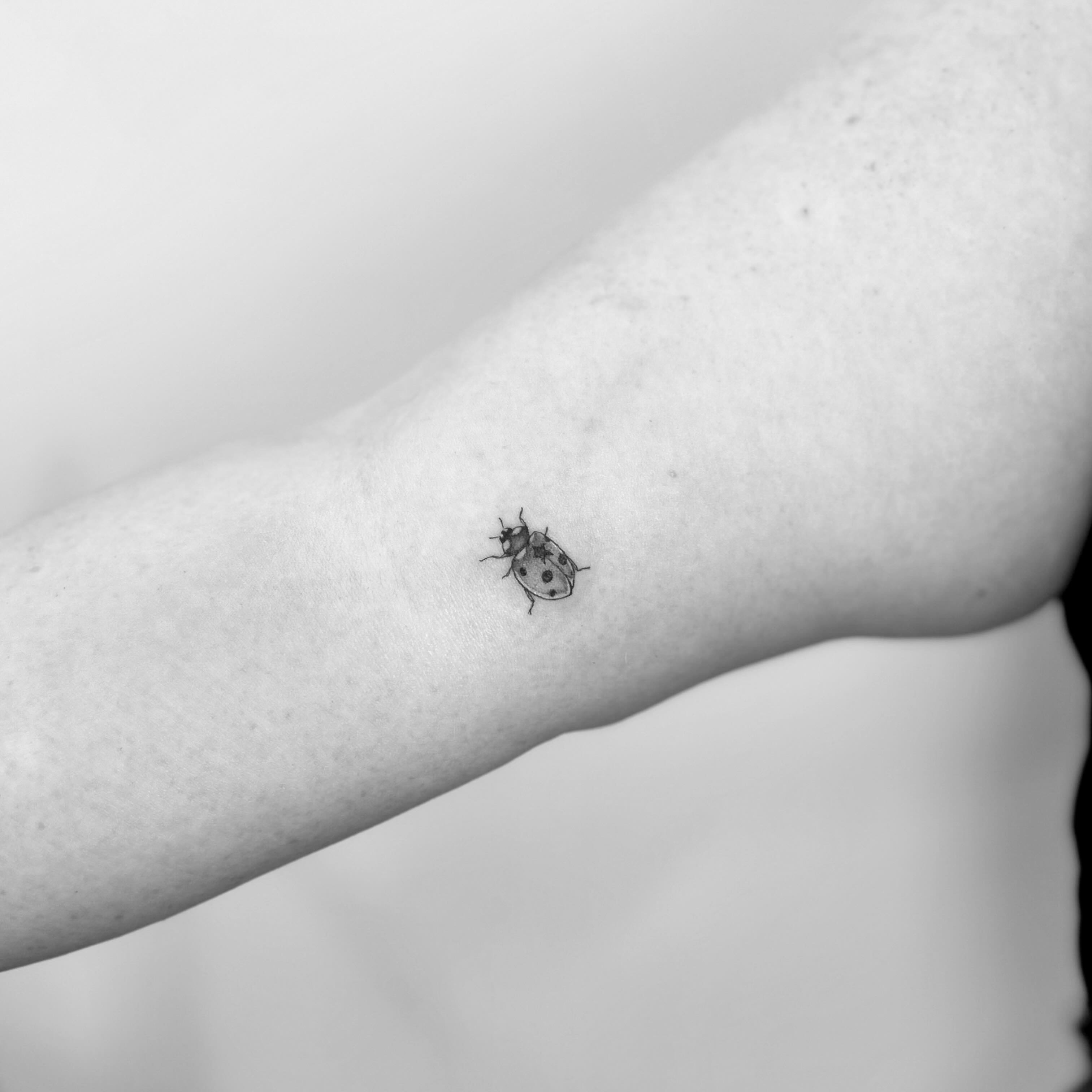 Ladybug black and grey tattoo on the forearm by L i v π Tattoo Artist. AMITY TATTOO