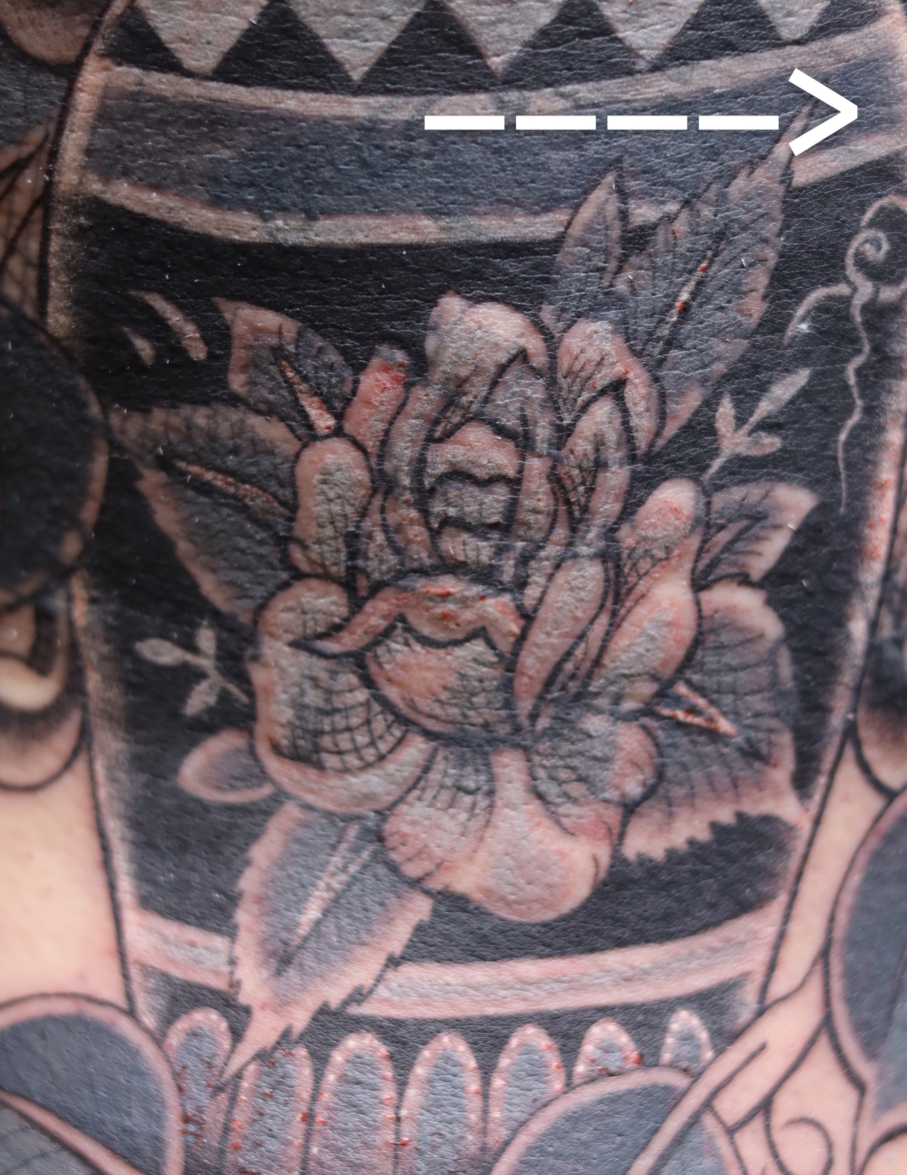 Lotus flower American traditional tattoo on the forearm by Caleb Ortiz