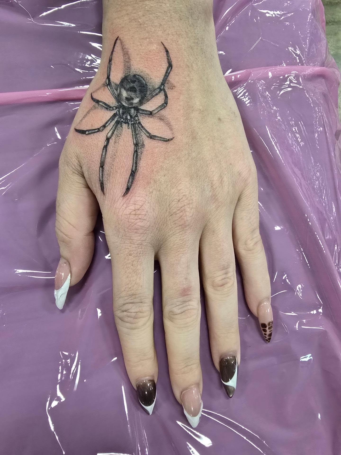 Spider black and grey tattoo on the hand by Rachel, Centereach, New York