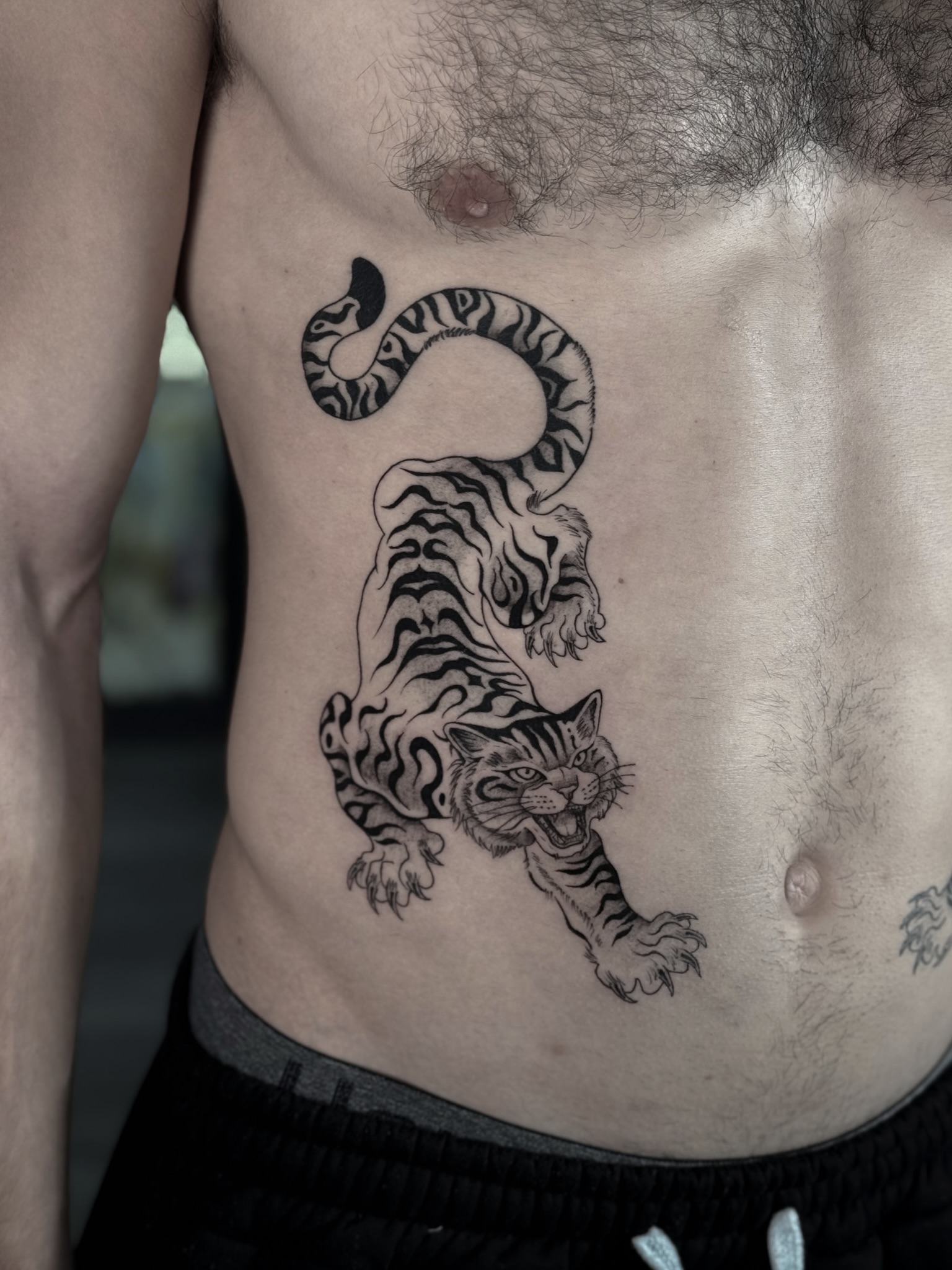 Tiger black and grey tattoo on the ribs by Nicolas Herrera