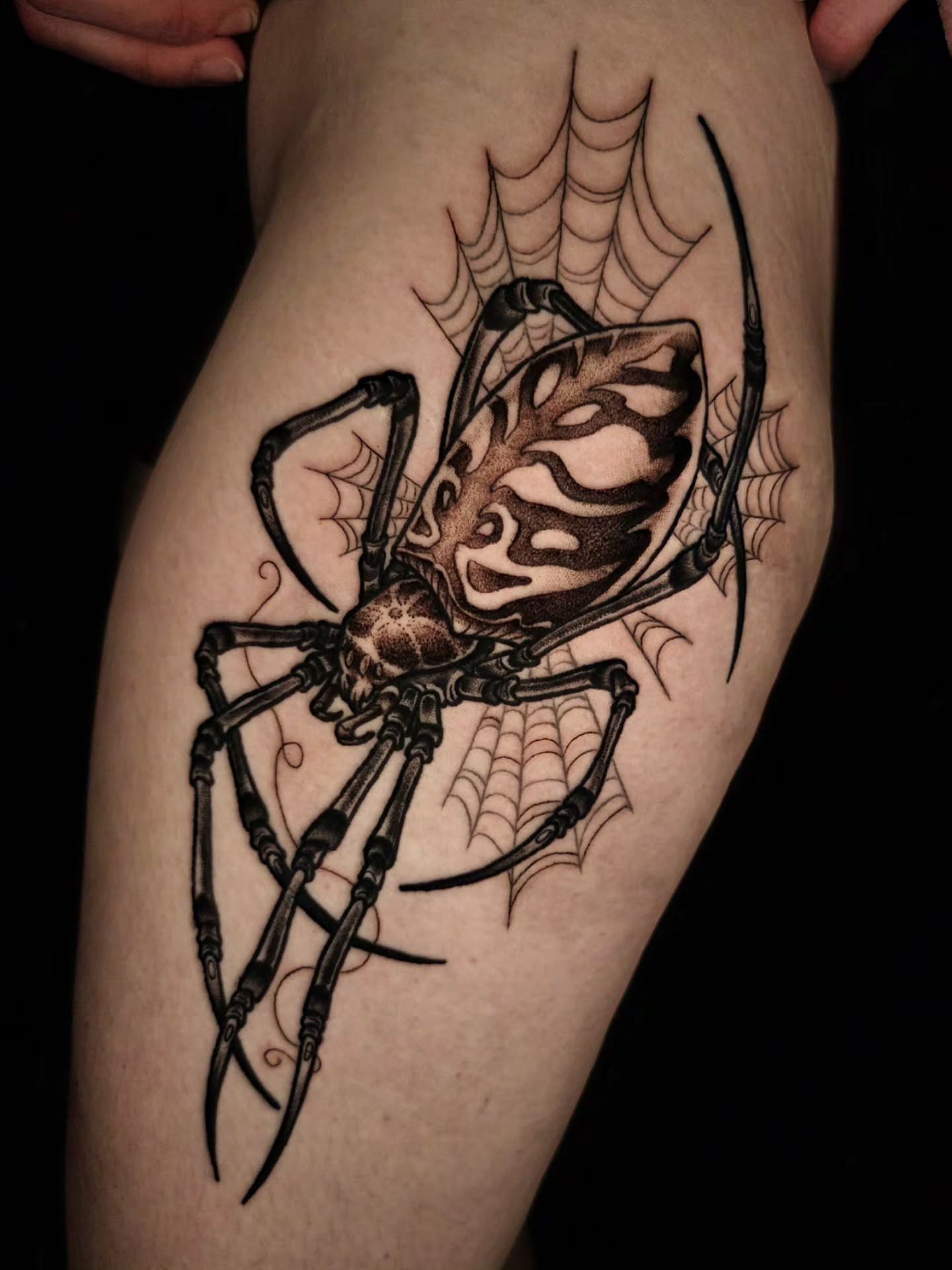 Spider black and grey tattoo on the thigh by Ian Kiser