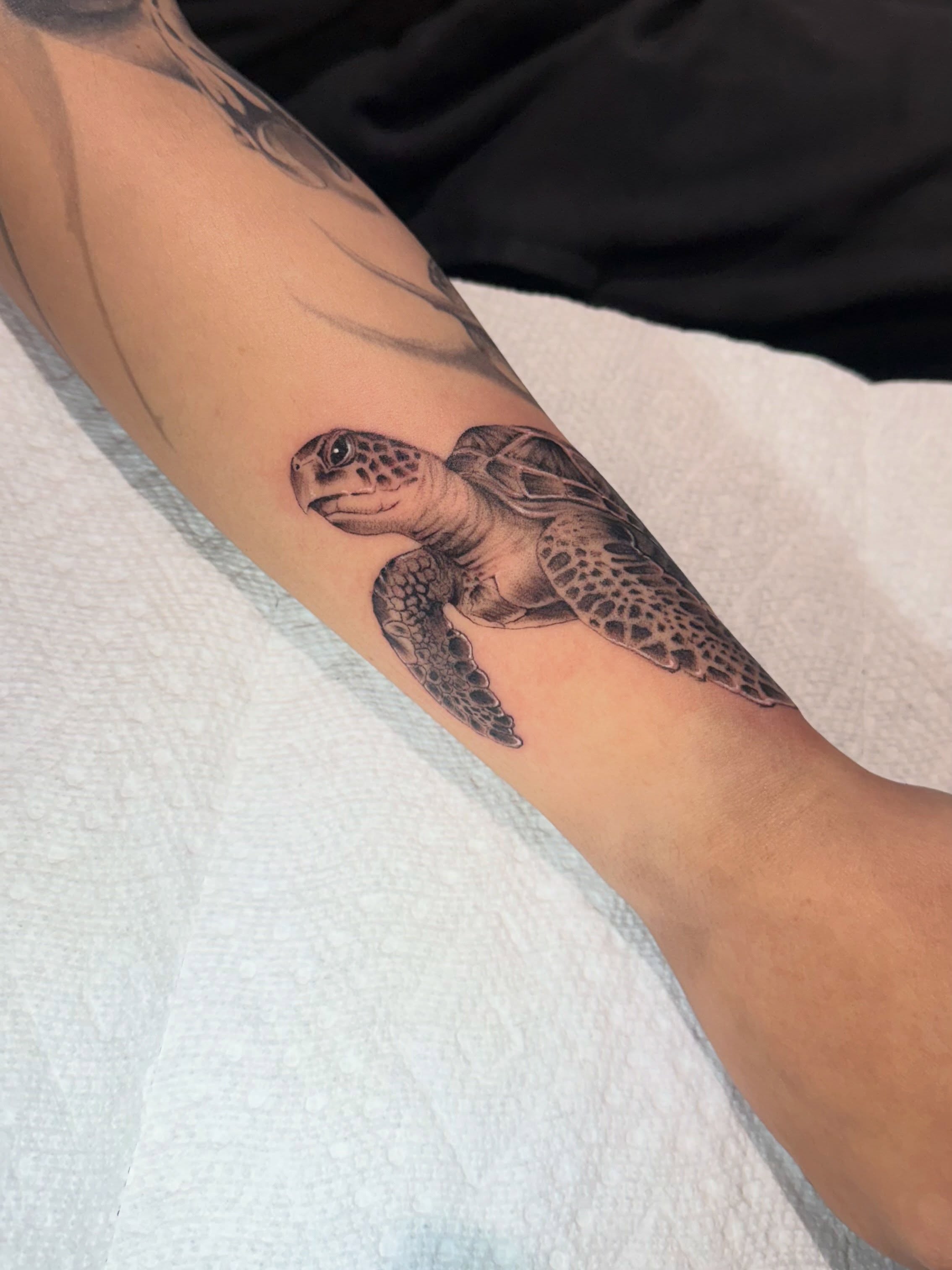 Sea turtle realism tattoo on the forearm by Grace P