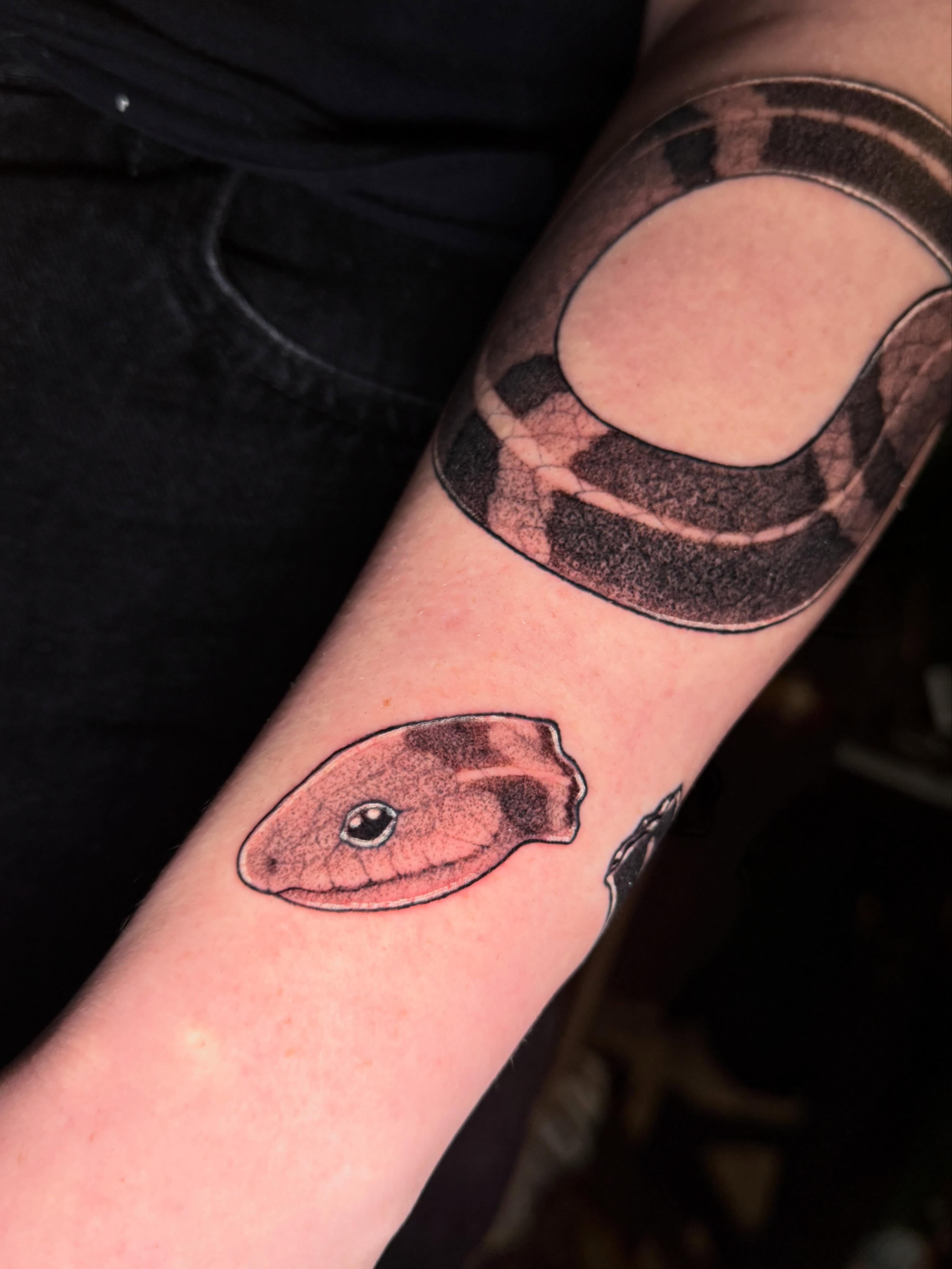 Snake realism tattoo on the forearm by Em ✨PA Tattooer
