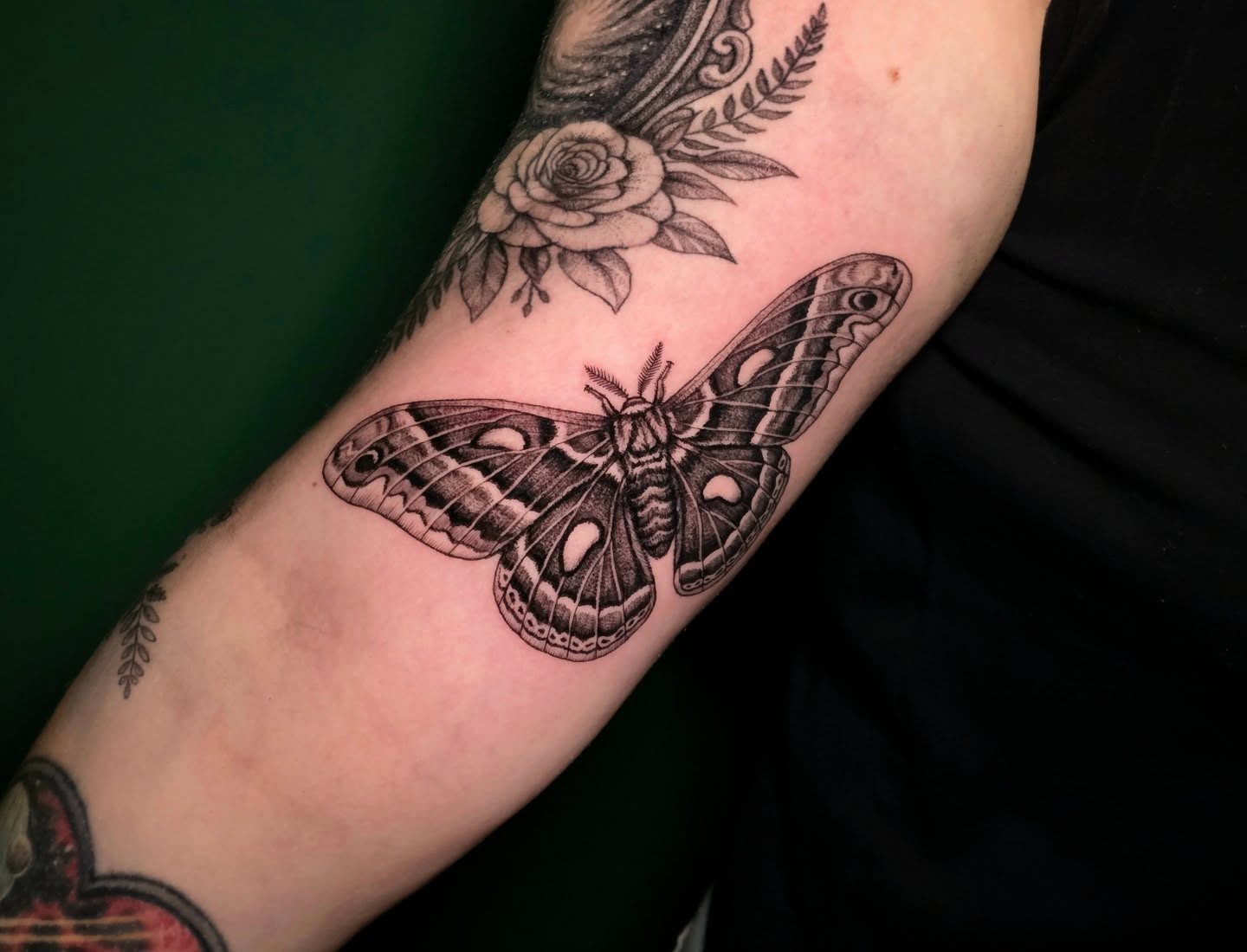 Moth black and grey tattoo on the forearm by Nick de Hoyos