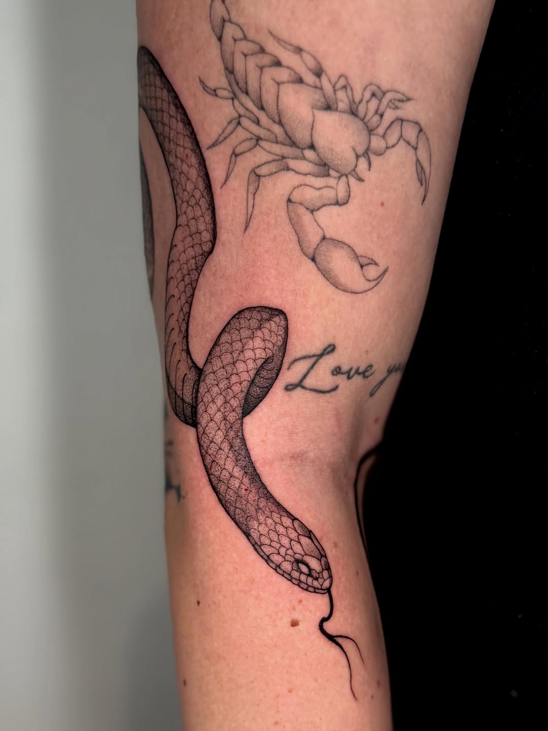 Tattoo by @laurenlilliantattoo — fine_line, dotwork