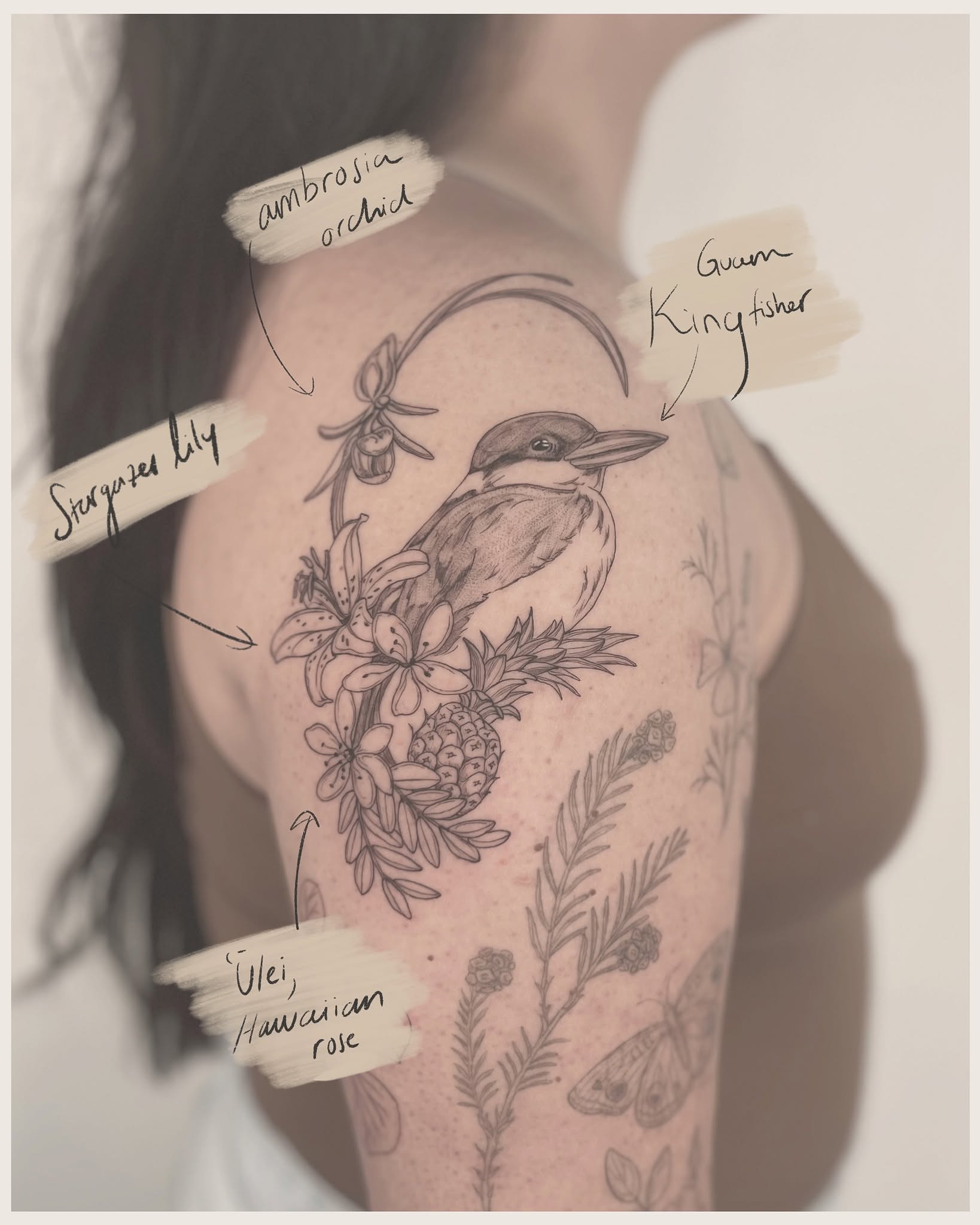 Kingfisher and flowers realism tattoo on the shoulder by Sierra Skye