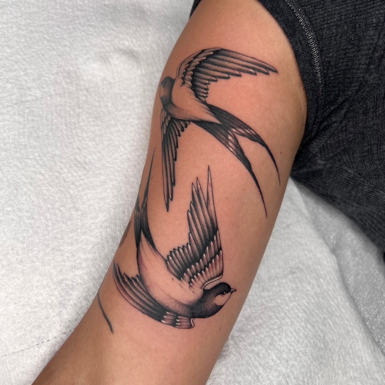 Swallows black and grey tattoo on the forearm by 𝔐𝔦𝔠𝔥𝔢𝔩𝔩𝔢 ℭ𝔥𝔞𝔪𝔢𝔯𝔩𝔦𝔨
