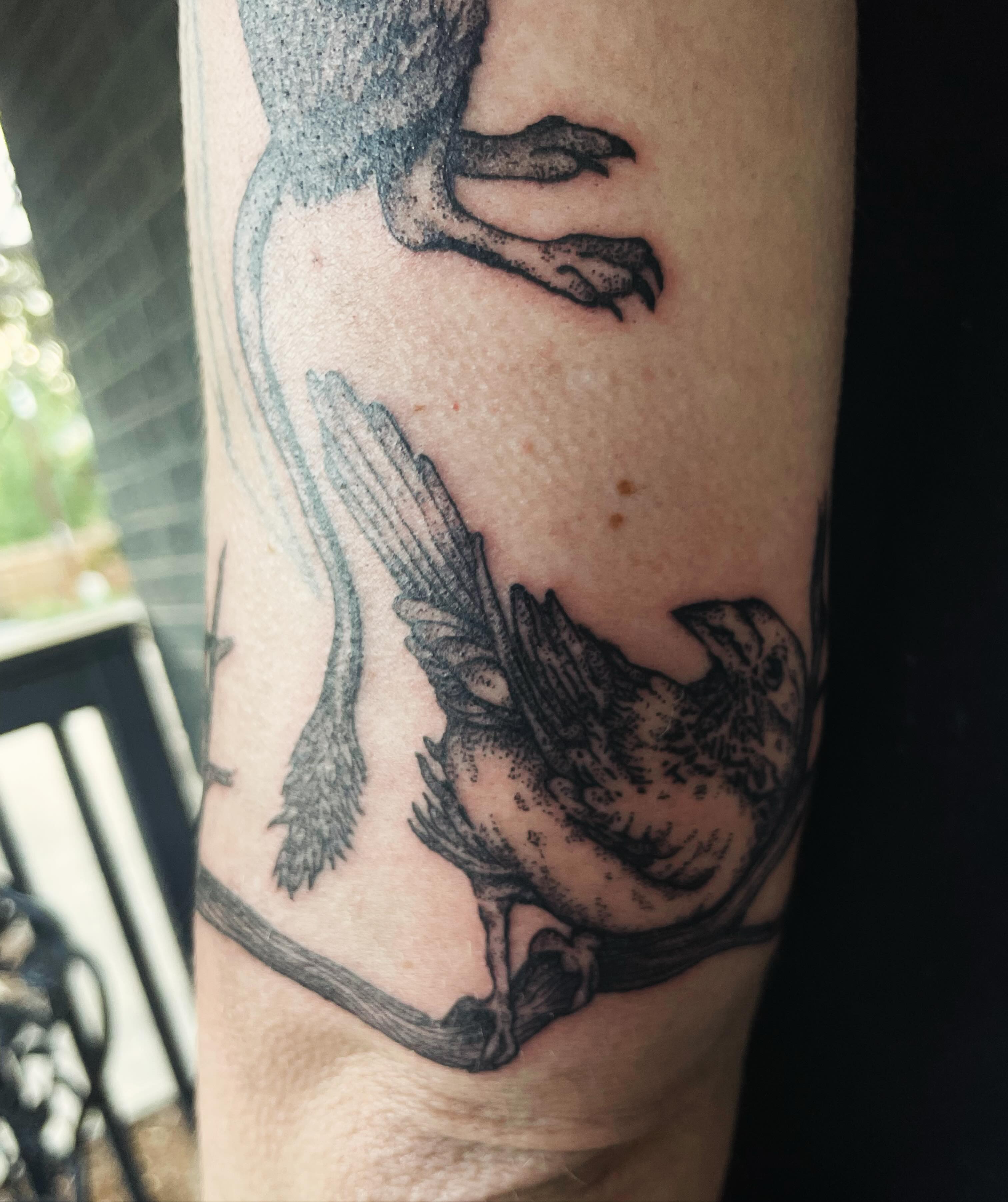 Bird dotwork tattoo on the forearm by sara ‧⭑𓆝 𓆟 𓆞 𓆝 𓆟 ⭑‧₊