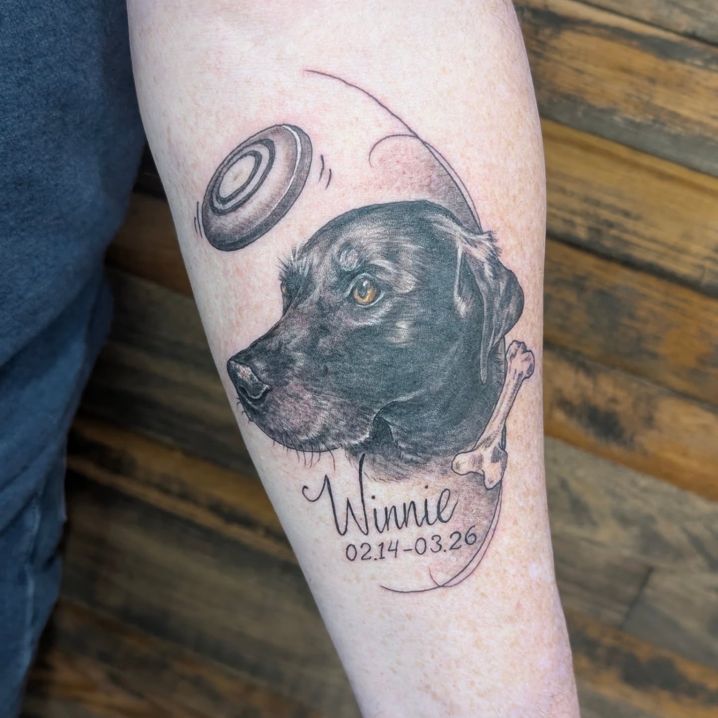Dog realism tattoo on the forearm by SHOP53 Tattoo & Art
