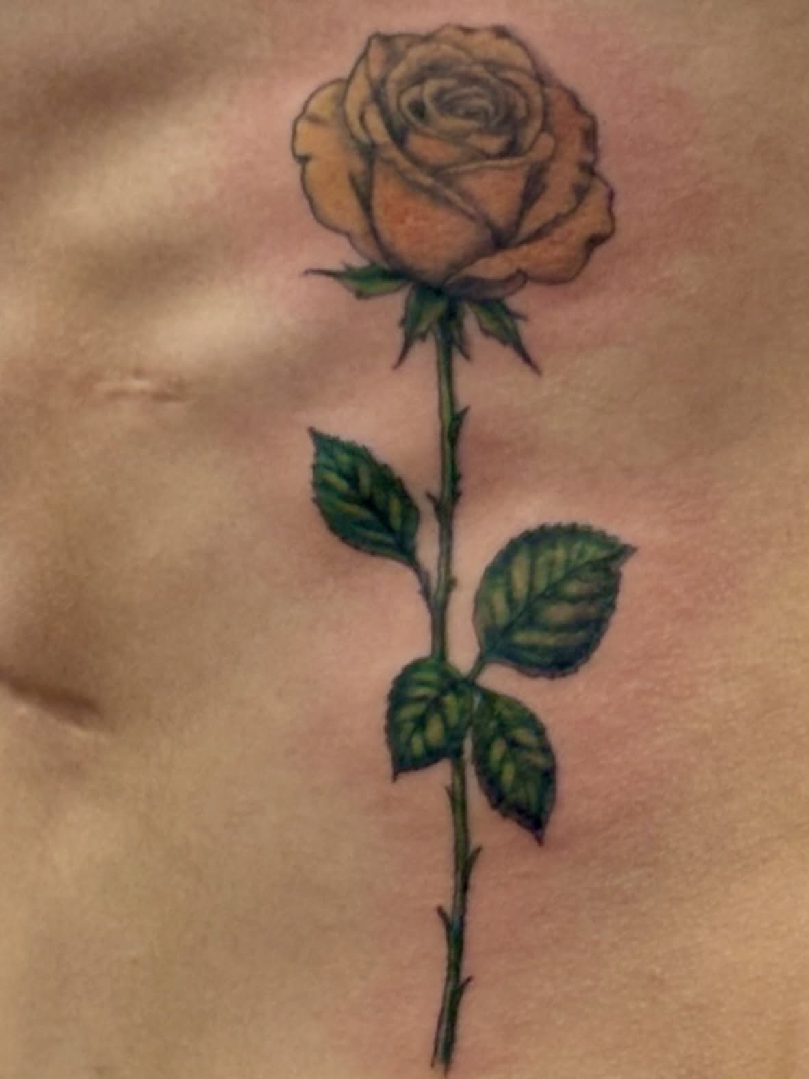Yellow rose realism tattoo on the chest by Thom Johns-Green
