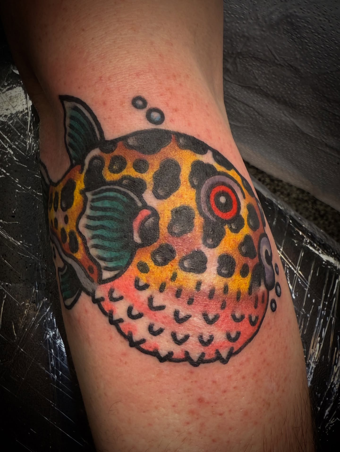 Puffer fish American traditional tattoo on the forearm by Chuck Paprocki, Nashville, Tennessee