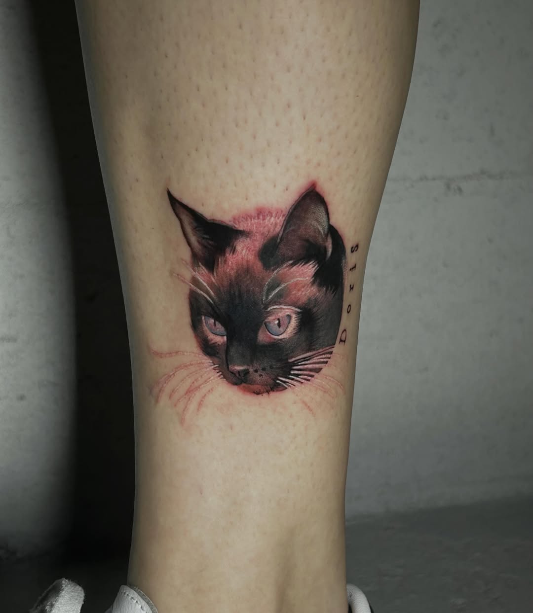 Tattoo by @la_diabhla — dotwork