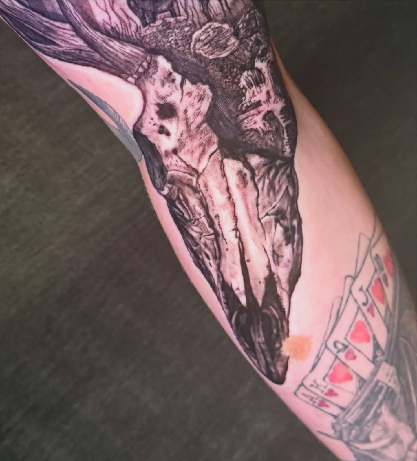 Bull skull realism tattoo on the forearm by Abbie Kaitlynn Taylor, Dayton, Ohio