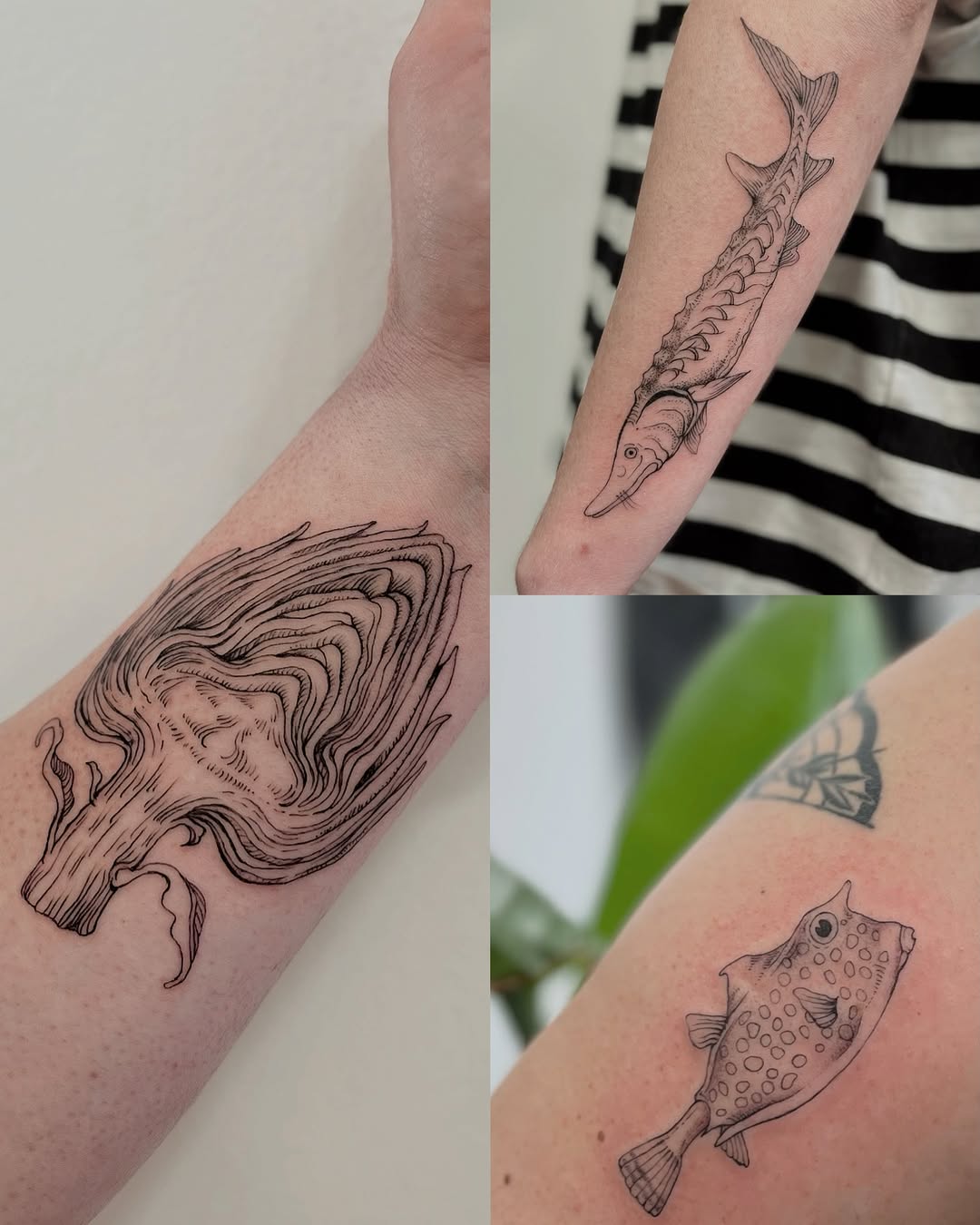 Tattoo by @crispyorchids — illustrative, black_and_grey